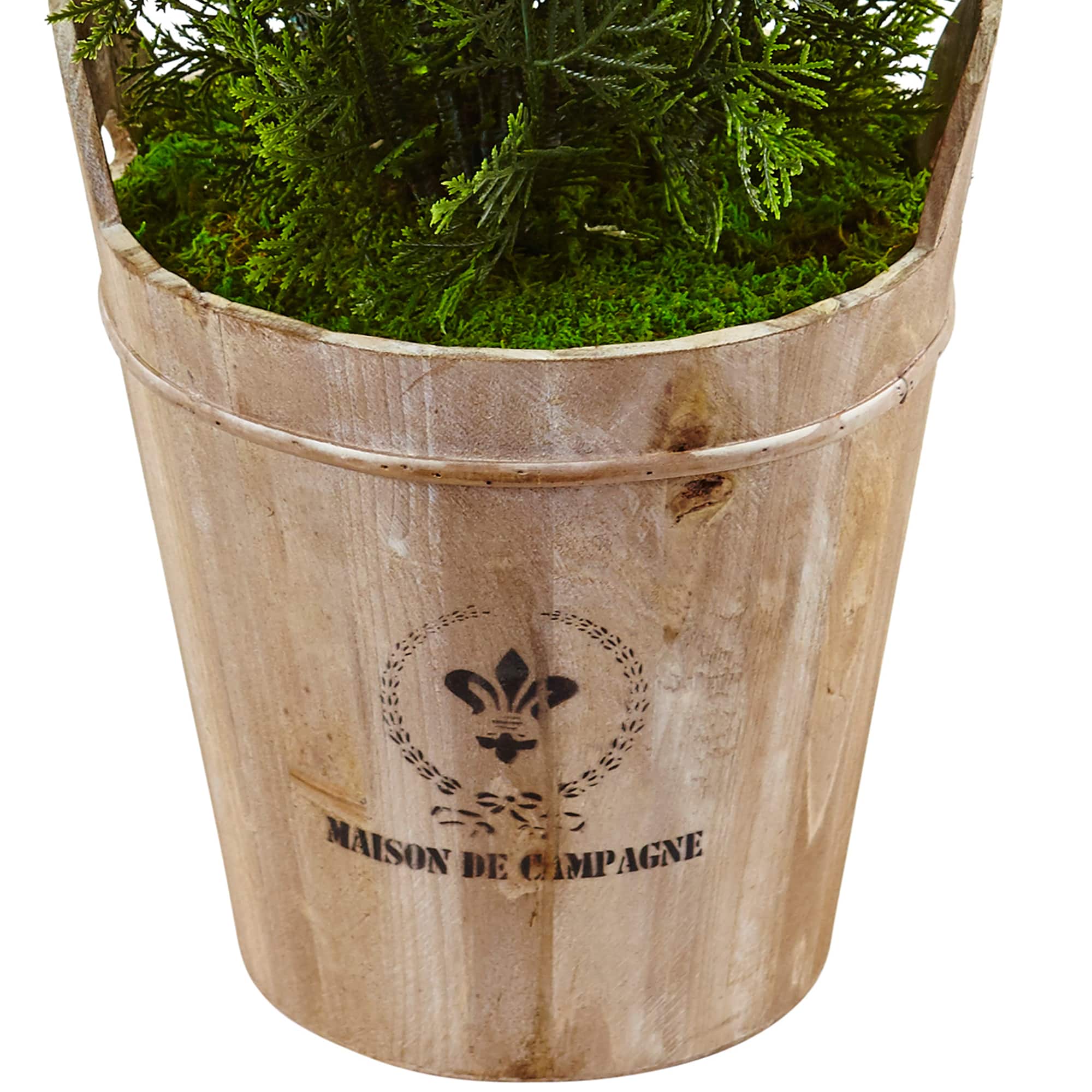 3ft. Cedar Tree in Barrel Planter