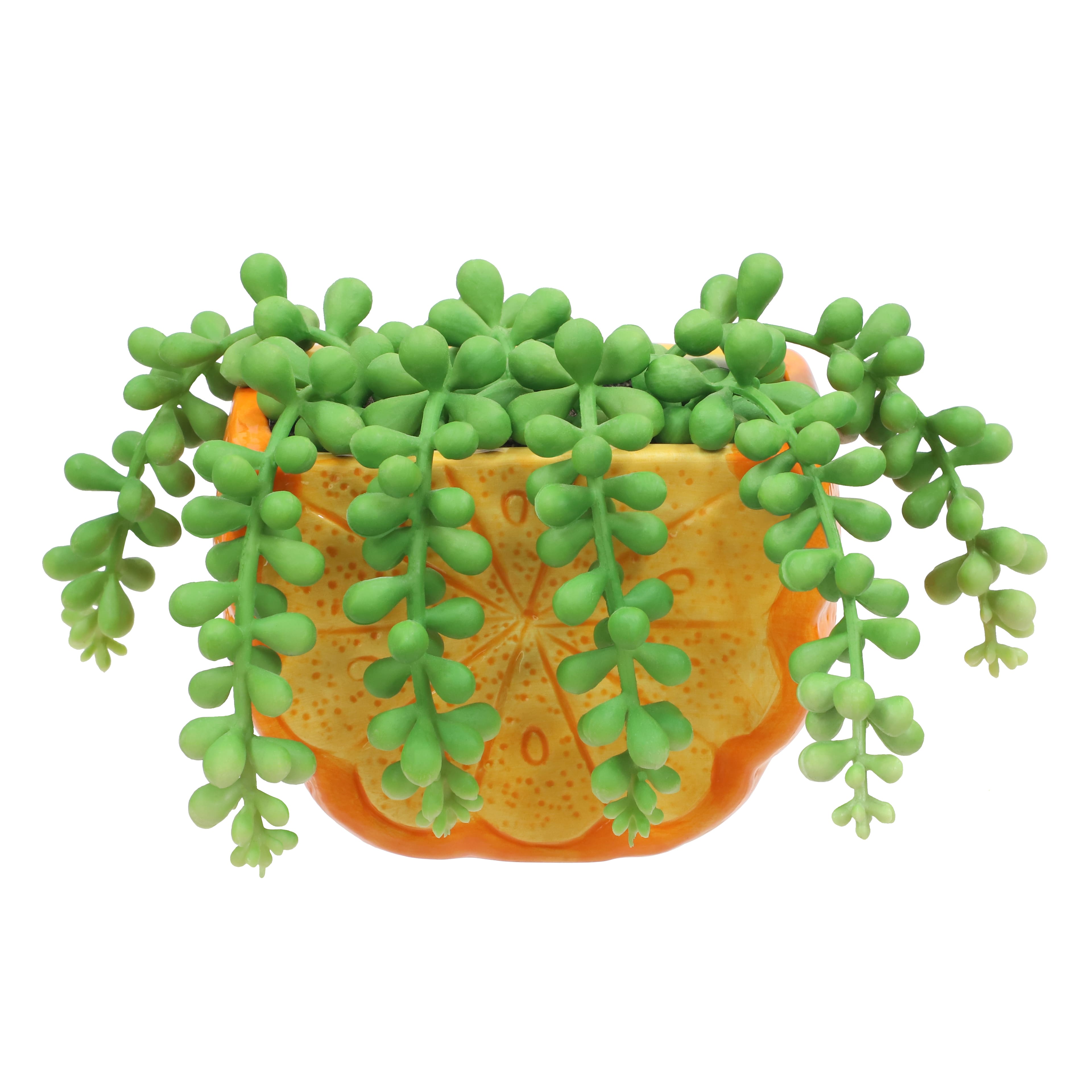 Fausse succulente collier de perles dans un pot en forme d&#x2019;orange, 15,2 cm d&#x2019;Ashland