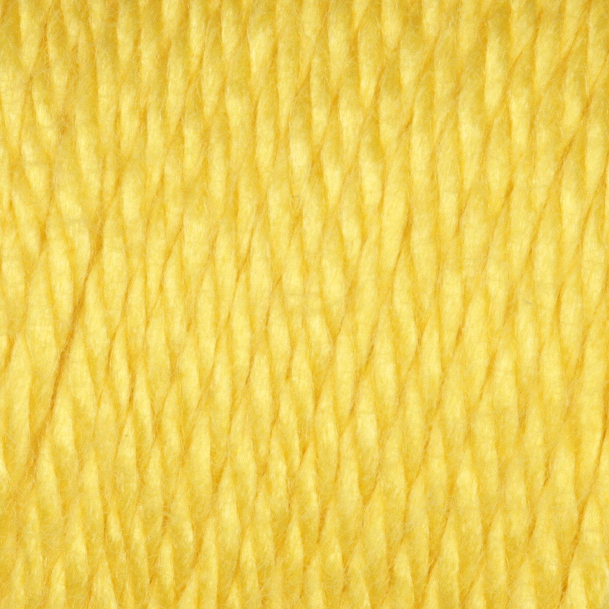 Multipack Caron® Simply Soft® Solid Yarn