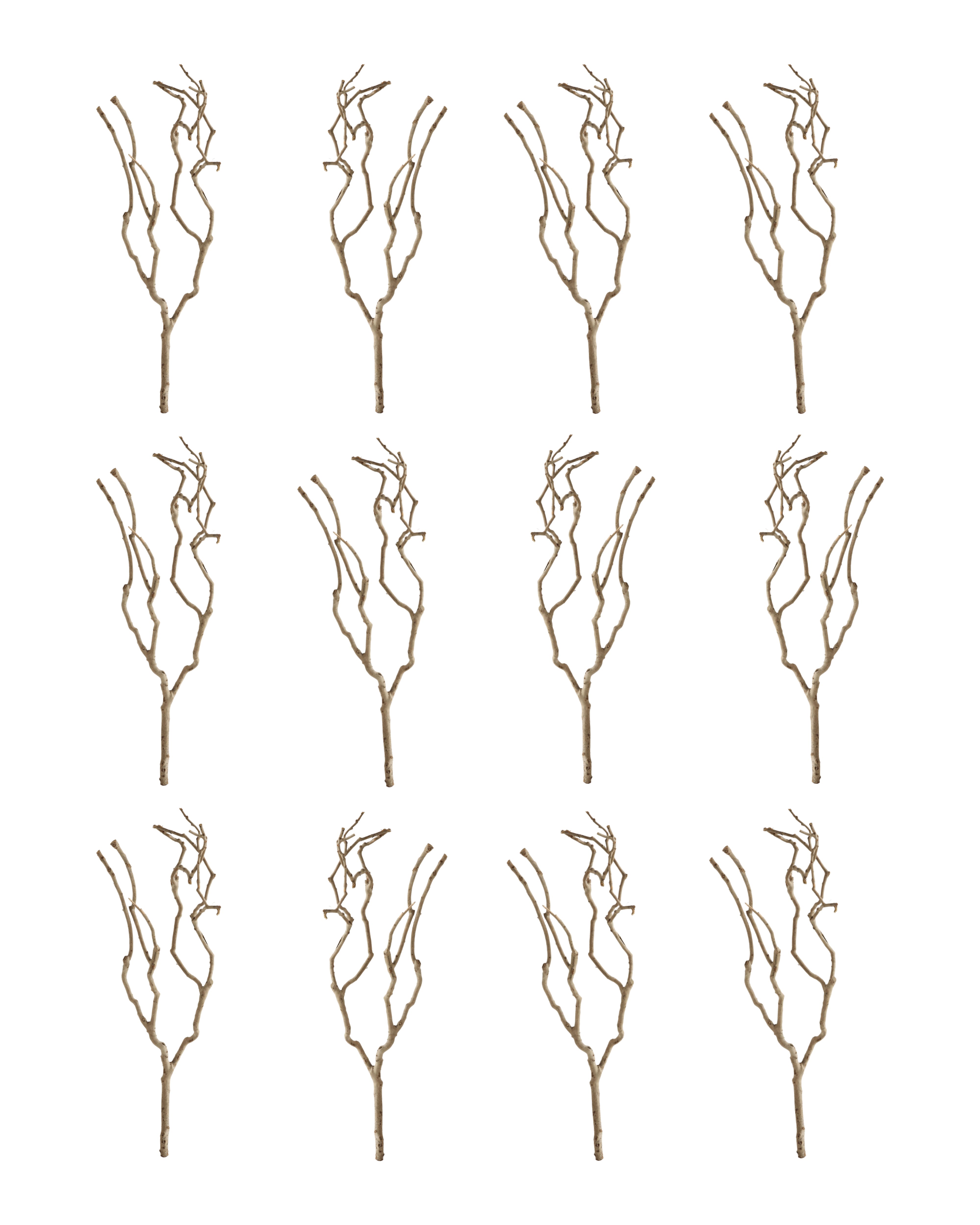 Hello Honey® 27" Natural Tea Tree Branch Decoration, 12ct.