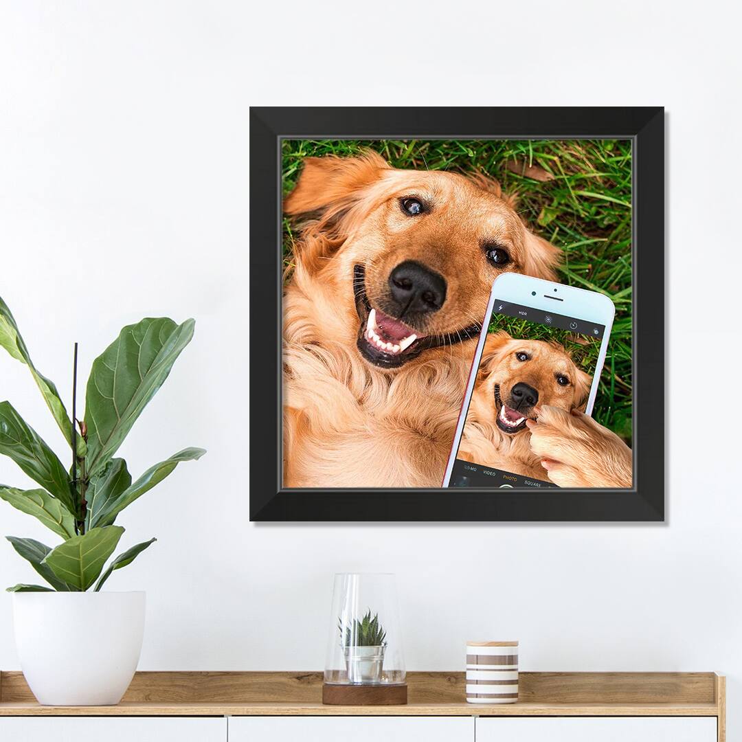 Selfie Golden 1 16&#x22; x 16&#x22; Black Framed Print Under Plexiglass