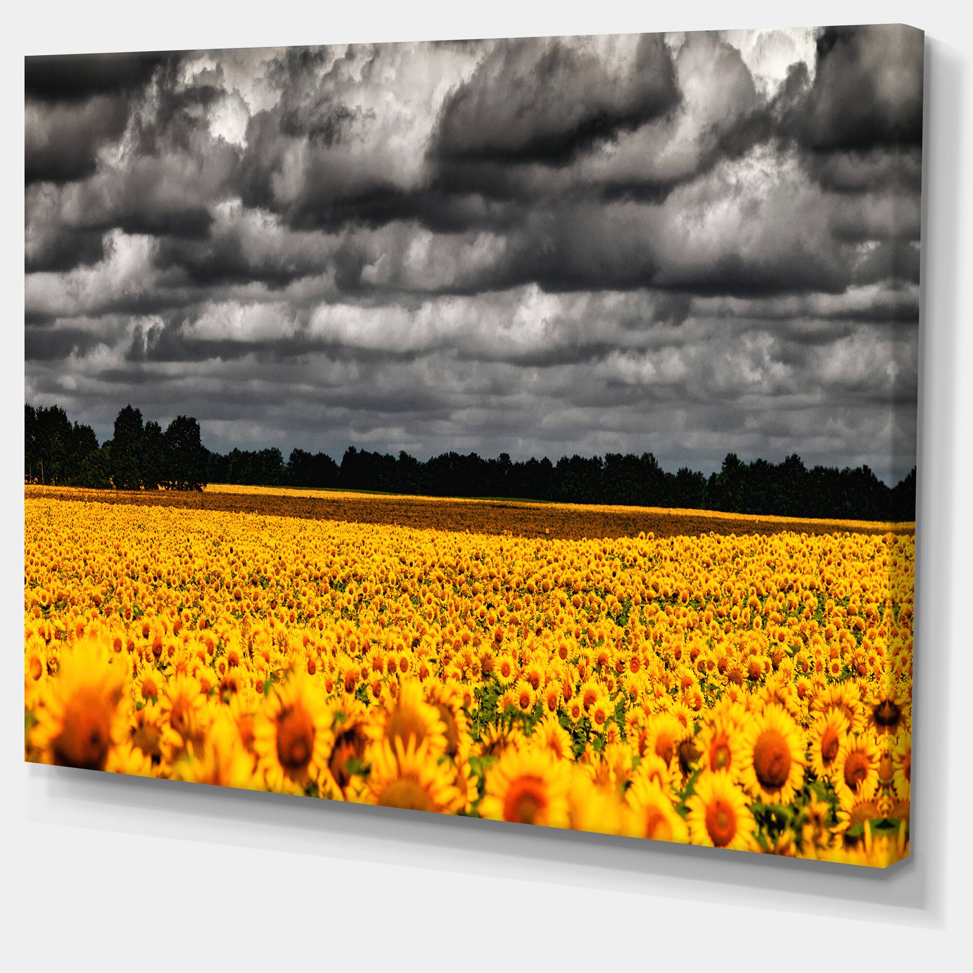 Designart - Van Gogh Summer with Clouds - Landscape Artwork Canvas