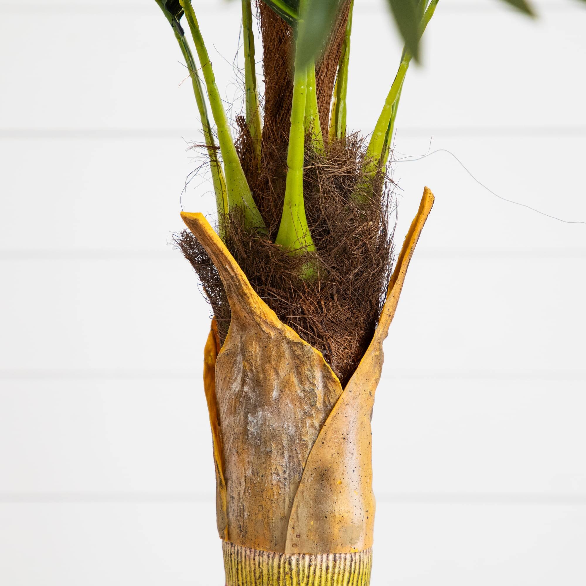 4ft. Potted Coconut Palm Tree