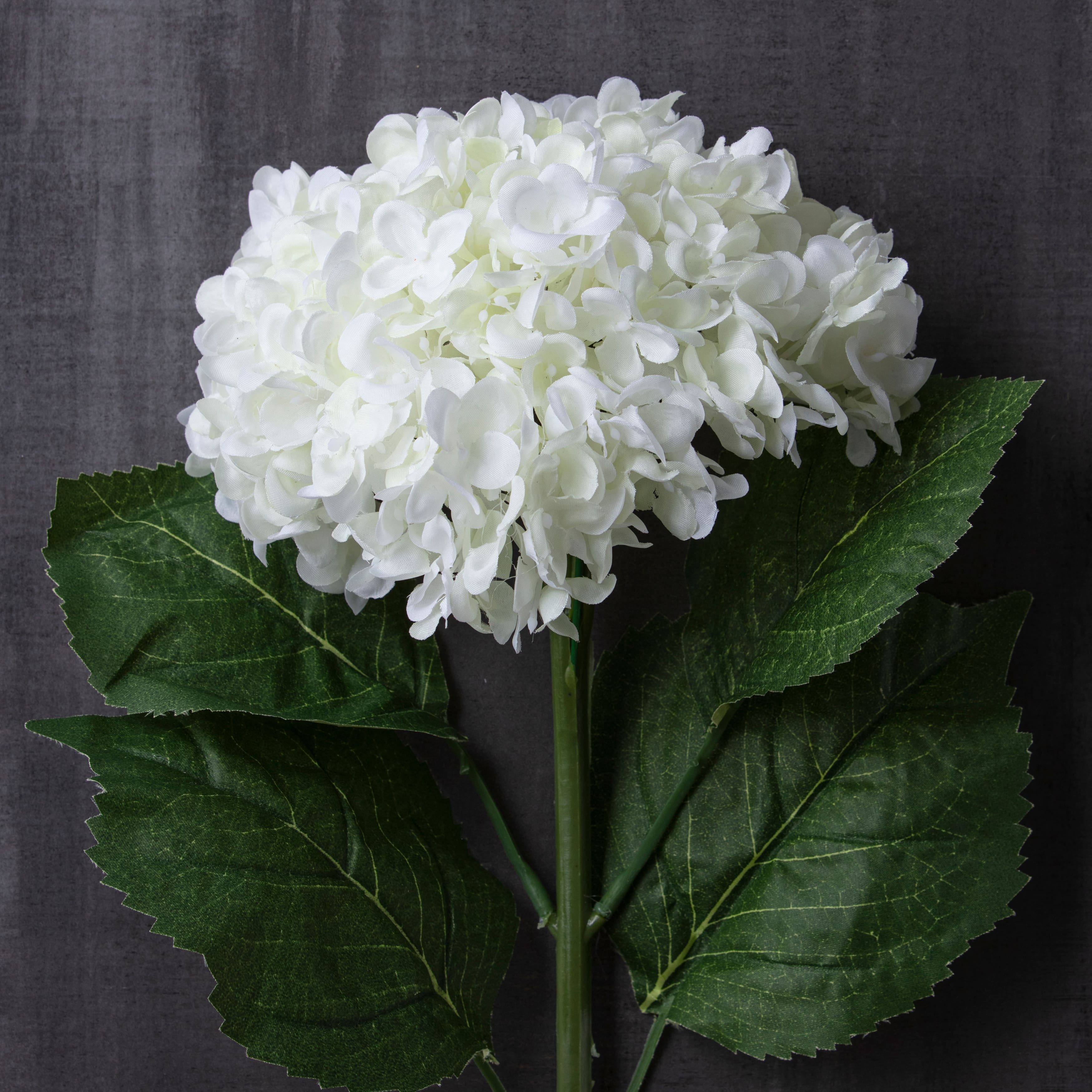 Small Cream Hydrangea Stem by Ashland&#xAE;