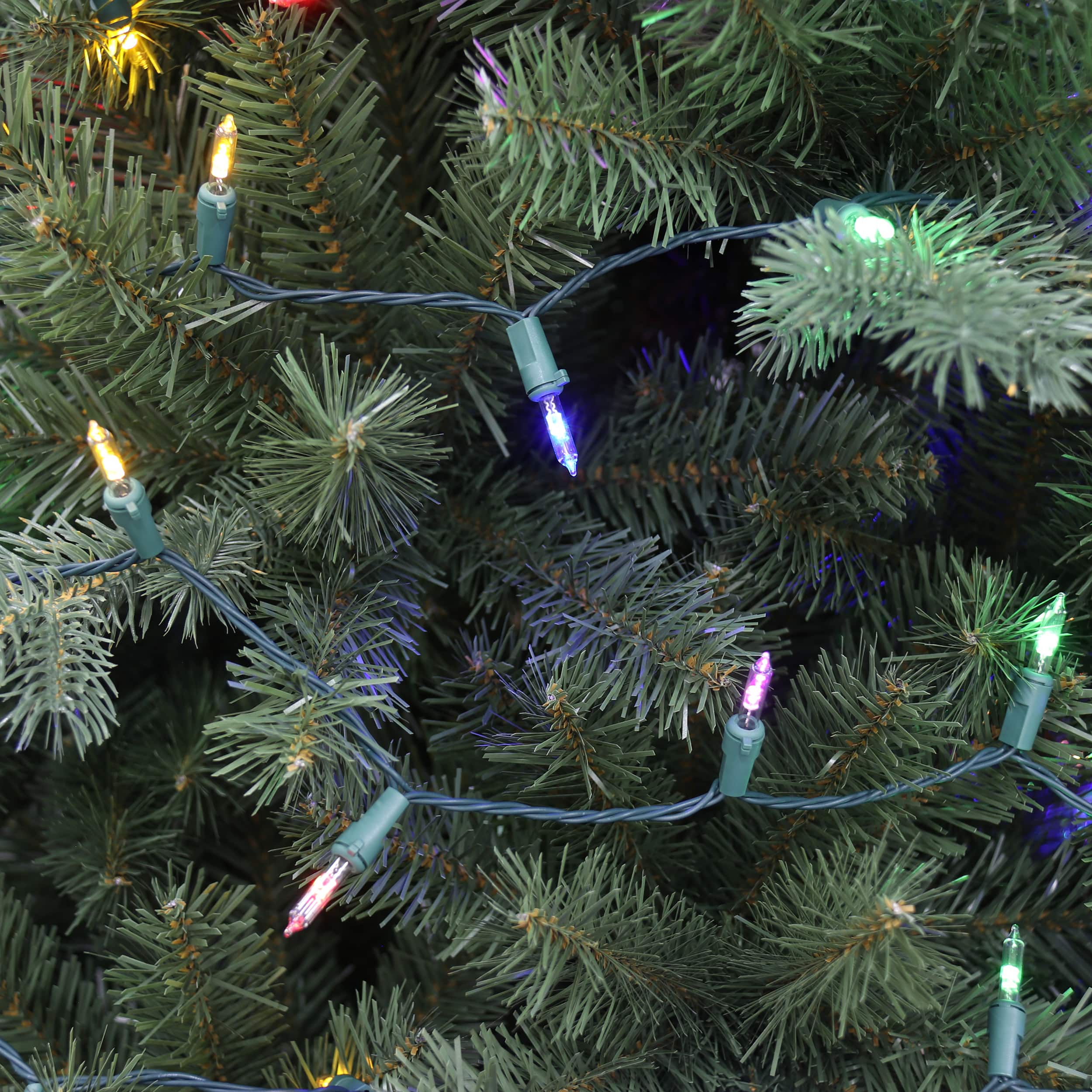 100ct. Color Changing Mini LED Glass 8 Function String Lights on Green Wire by Ashland®