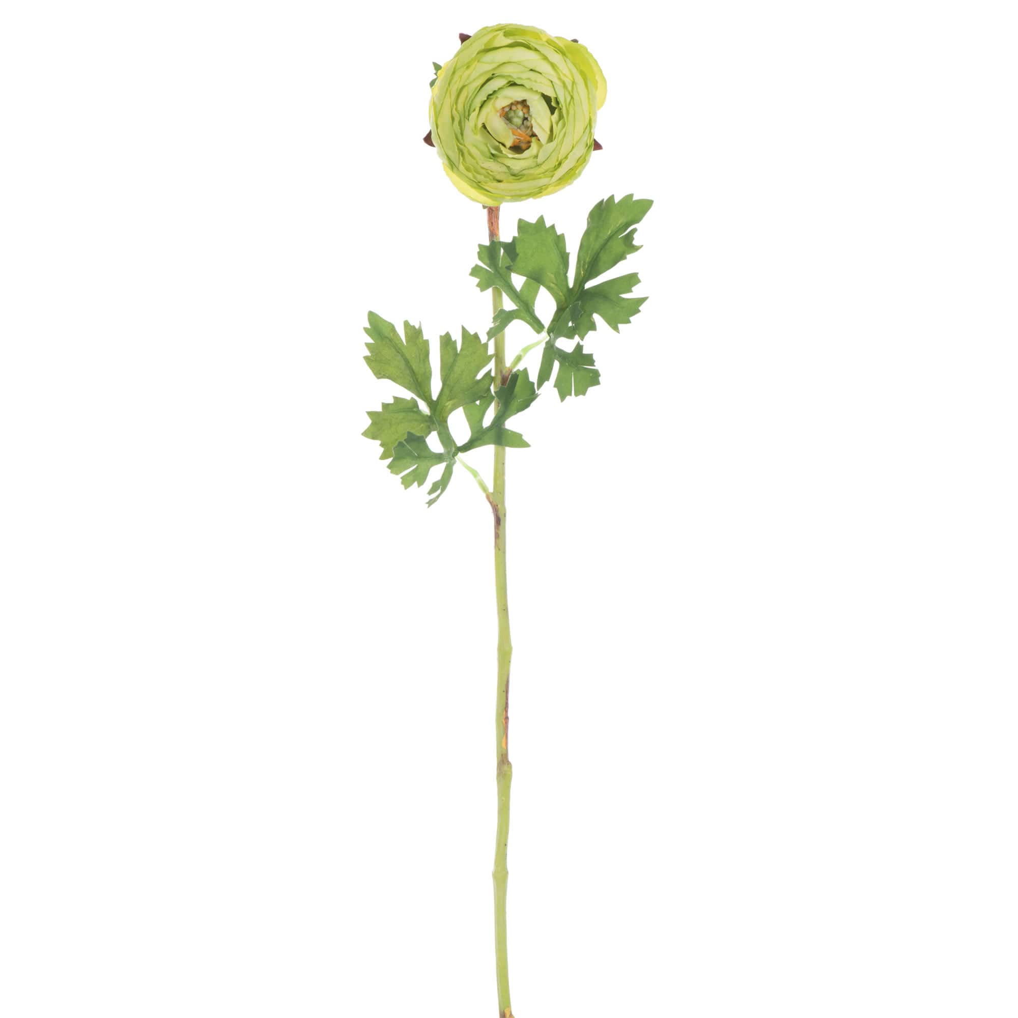 23&#x22; Green Ranunculus Artificial Stem, 4ct.