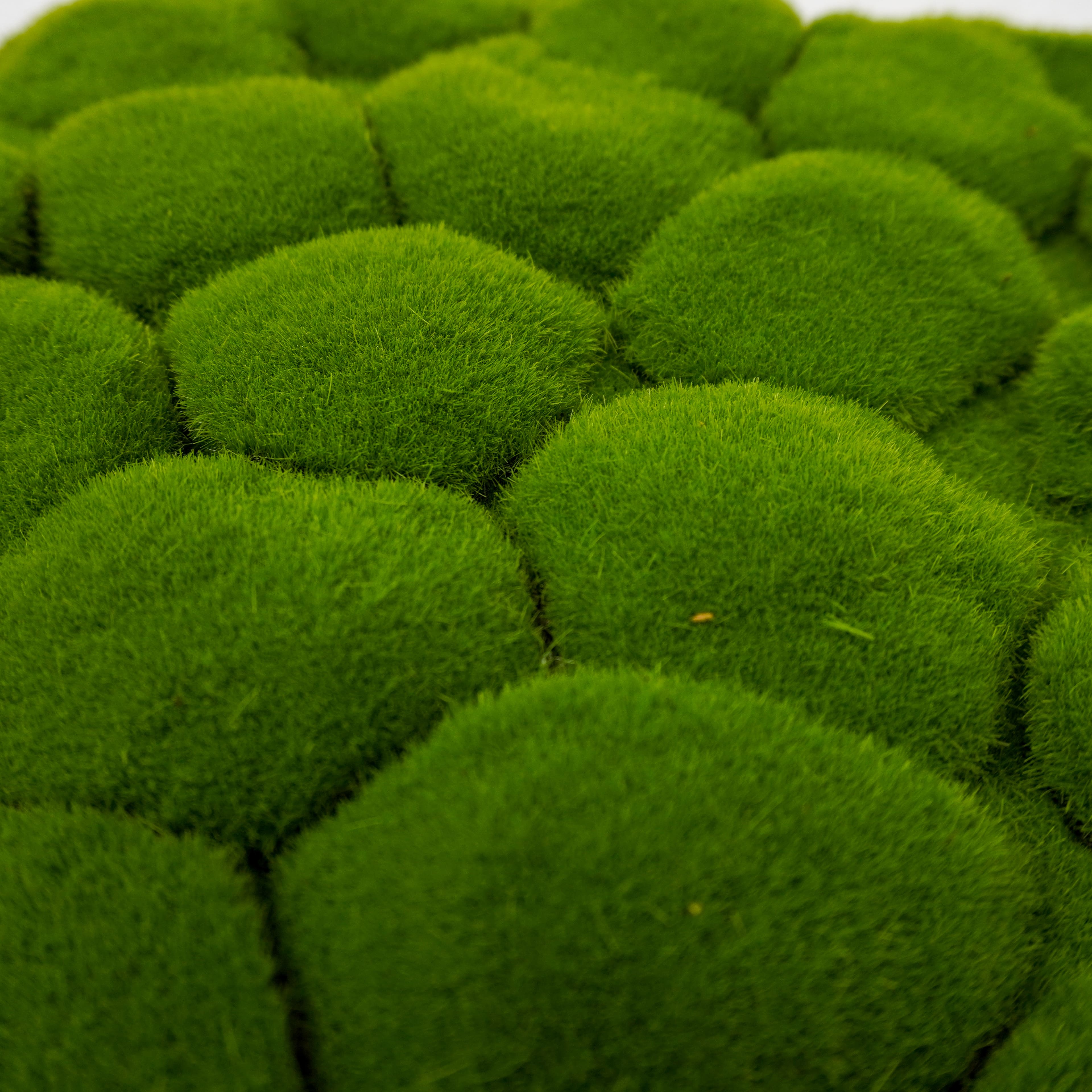 12&#x22; Faux Bumpy Moss Square Mat by Ashland&#xAE;