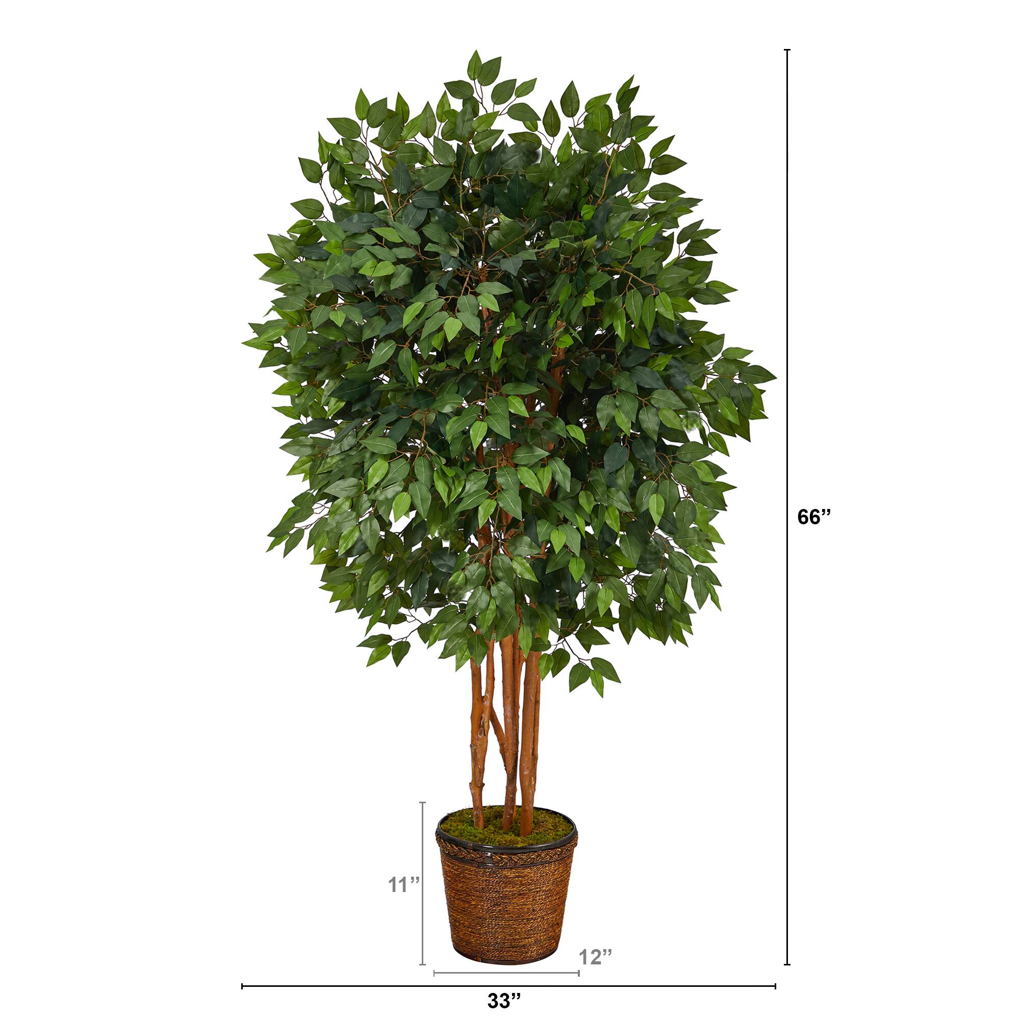 5.5ft. Super Deluxe Ficus Tree in Wicker Planter