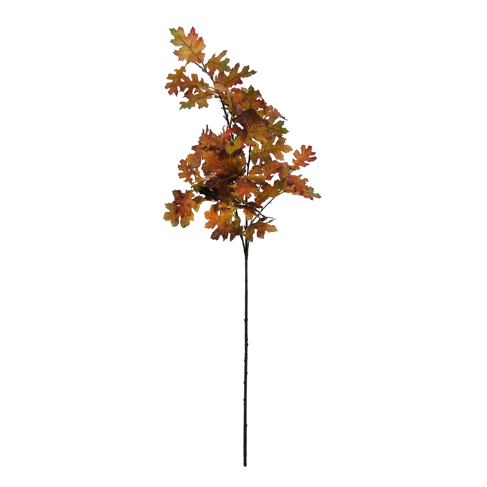 Brown Oak Leaves Stem by Ashland&#xAE;