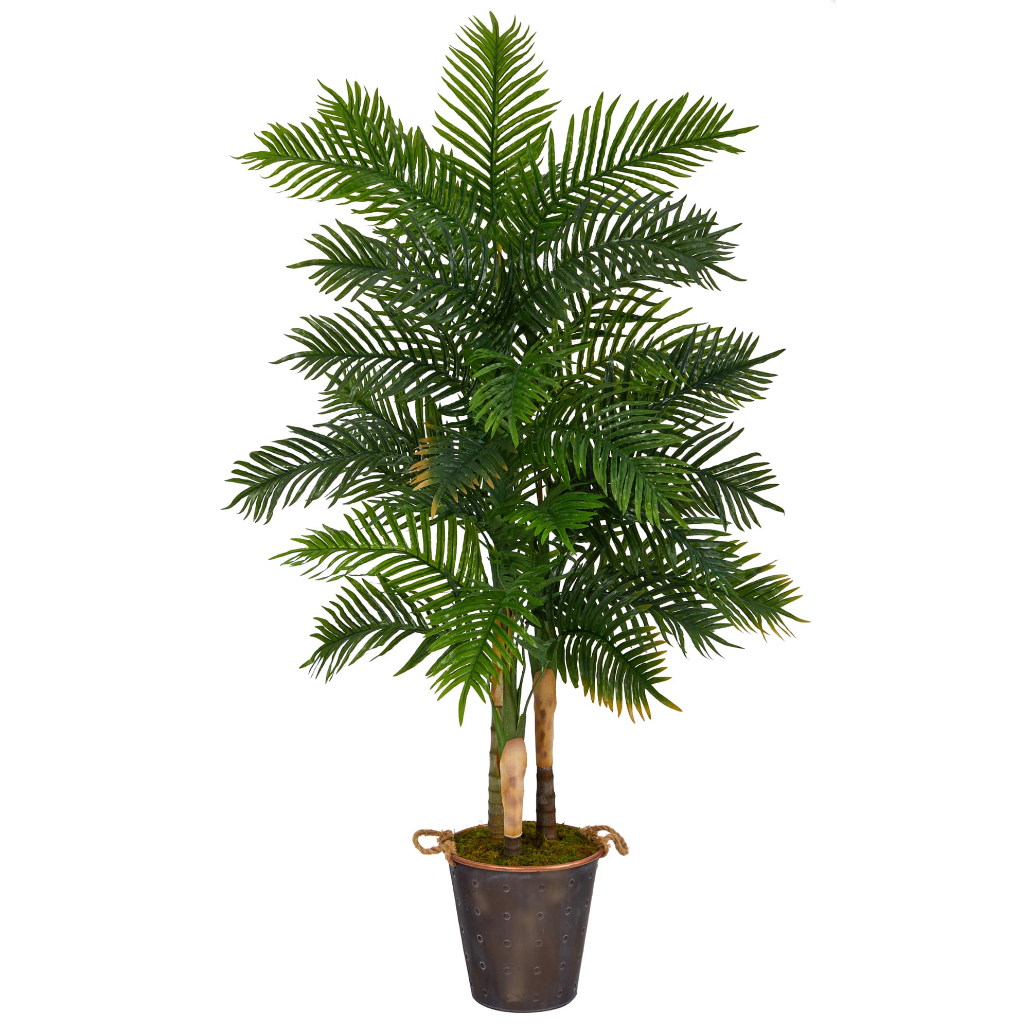 6ft. Areca Palm Tree in Metal Pail with Rope
