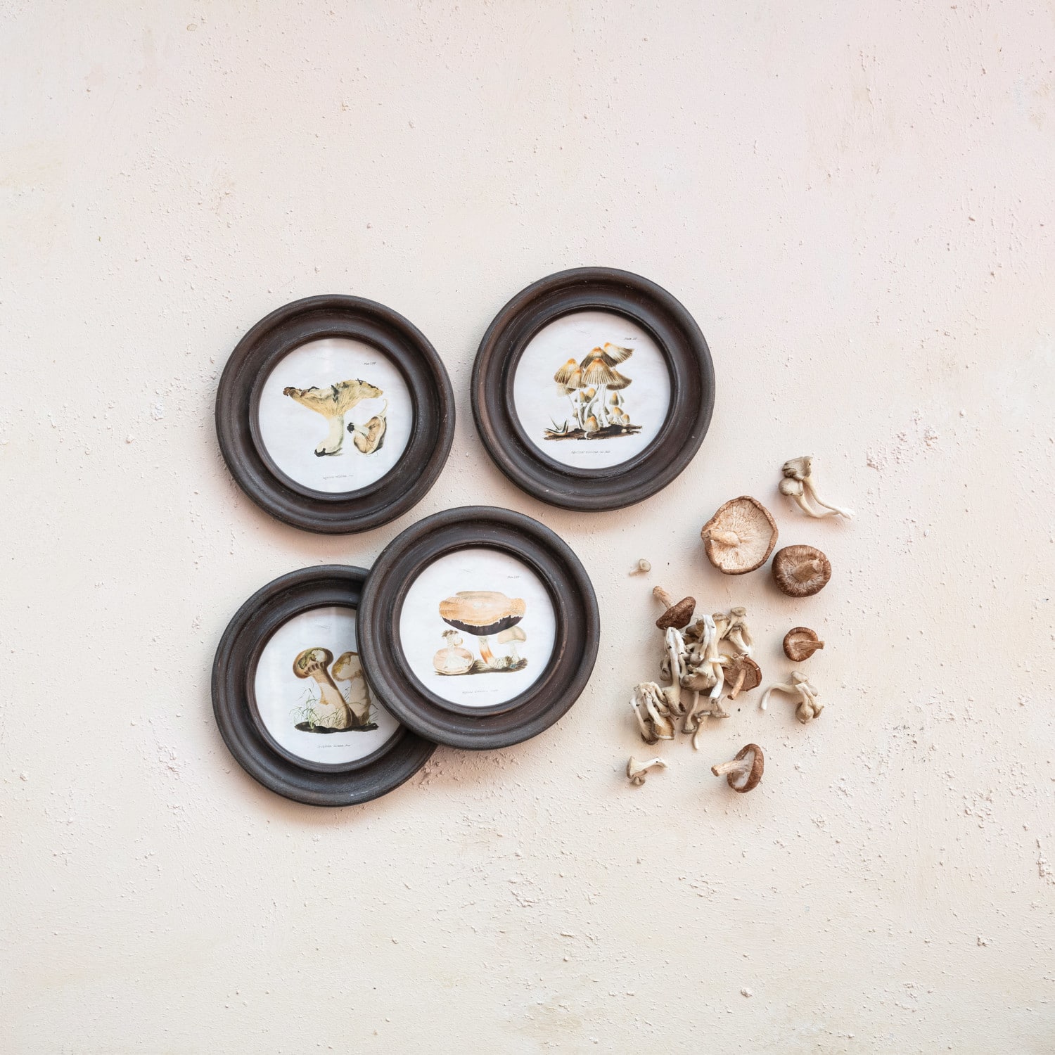 Hello Honey&#xAE; 9.5&#x22; Round Framed Mushroom Print Wall Art Set