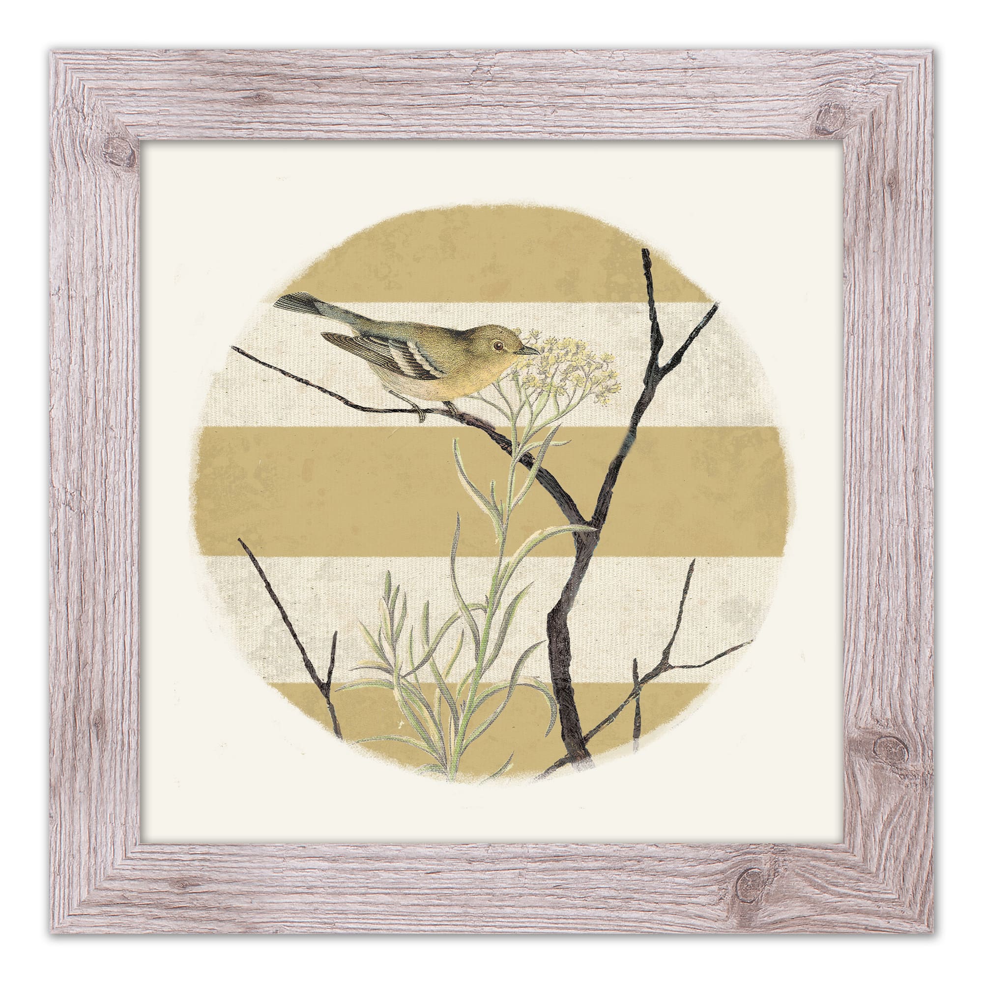 Framed Western Vintage Bird &#x26; Stripes Print