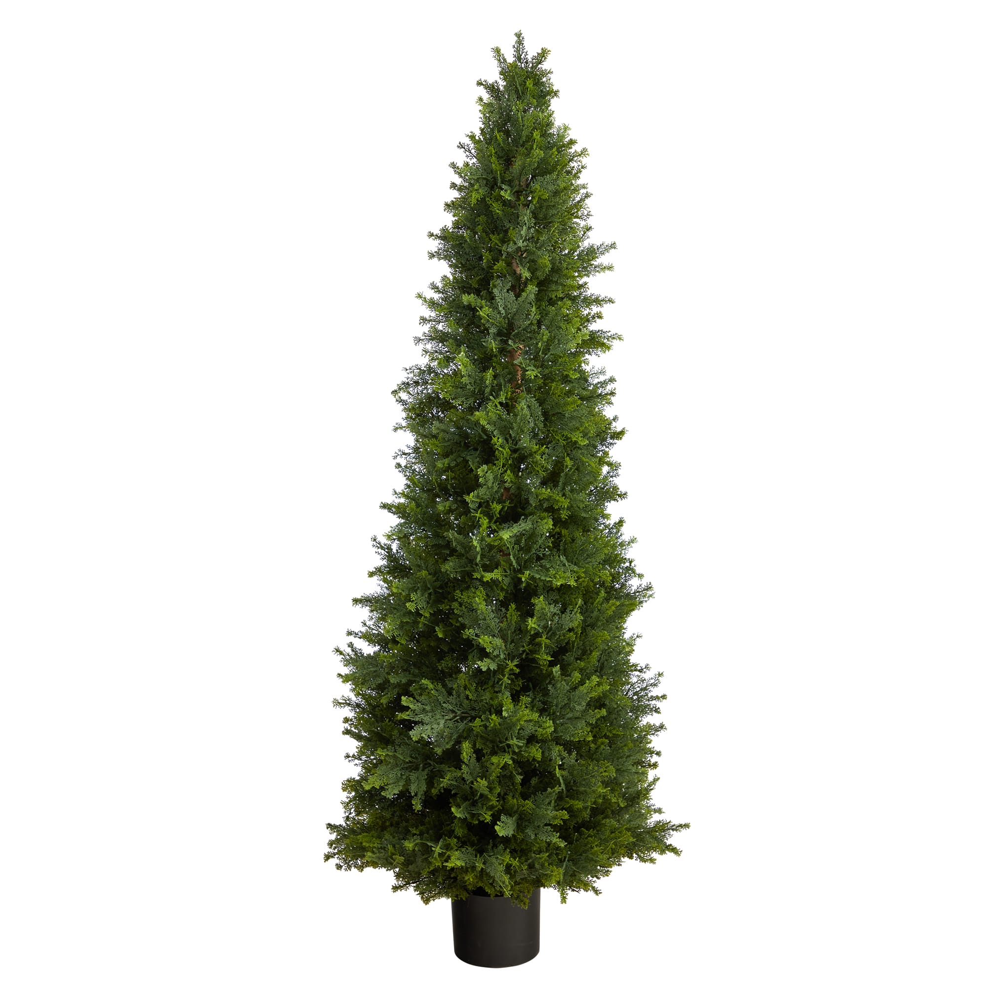 5.5ft. Potted Cypress Cone Topiary Tree