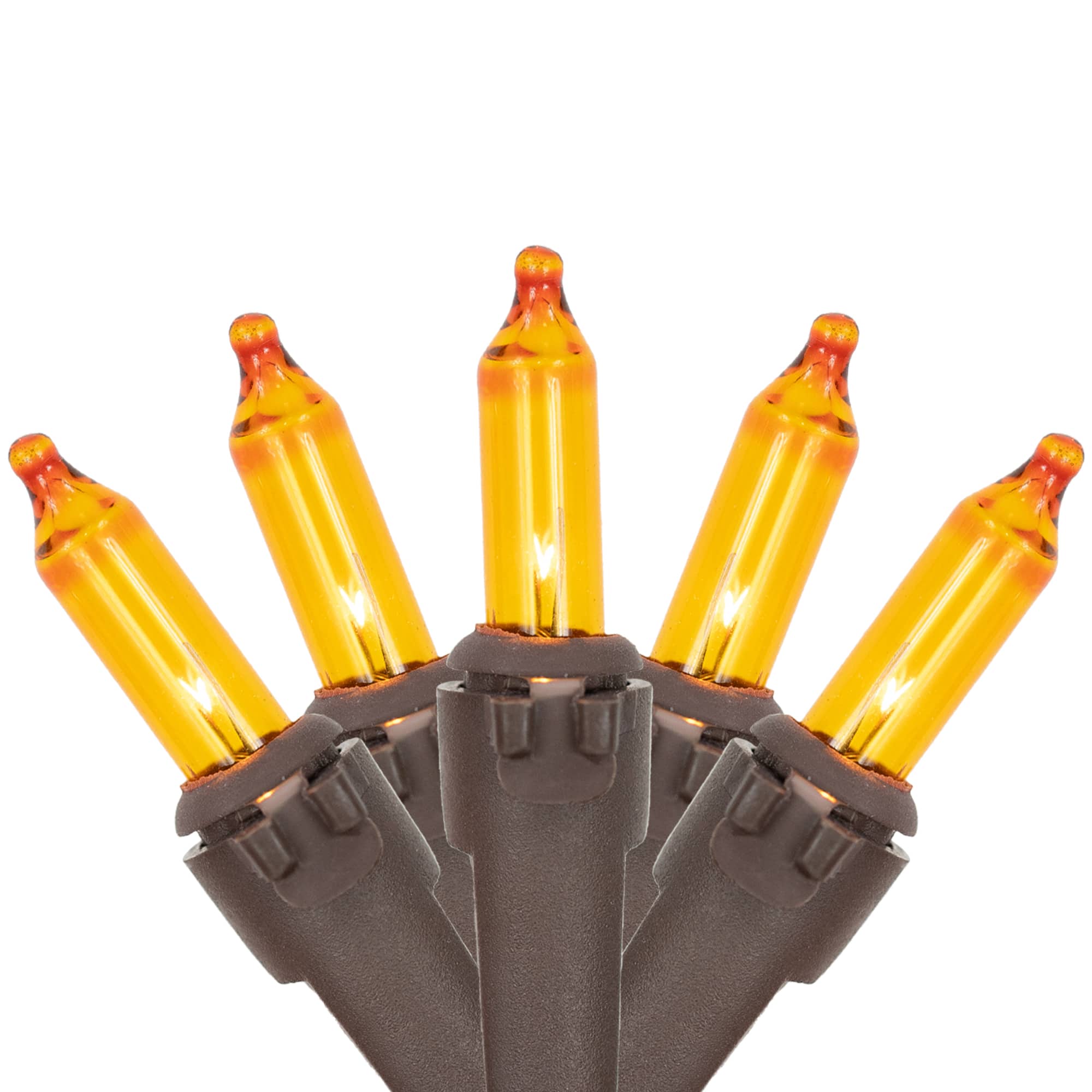 50ct. Amber Mini Fall Harvest Lights