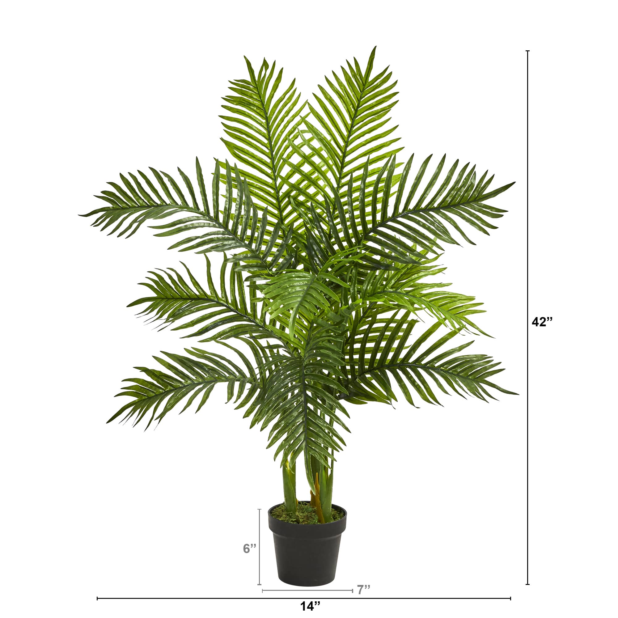 3.5ft. Potted Areca Palm Tree