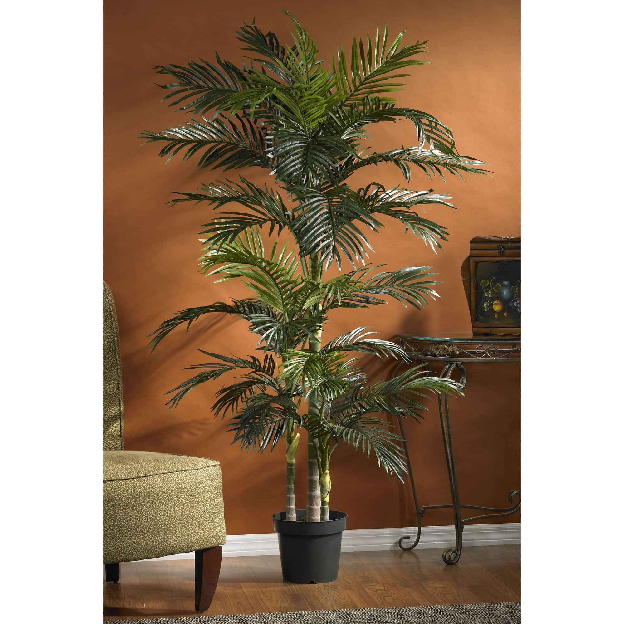 6.5ft. Potted Golden Cane Palm Tree