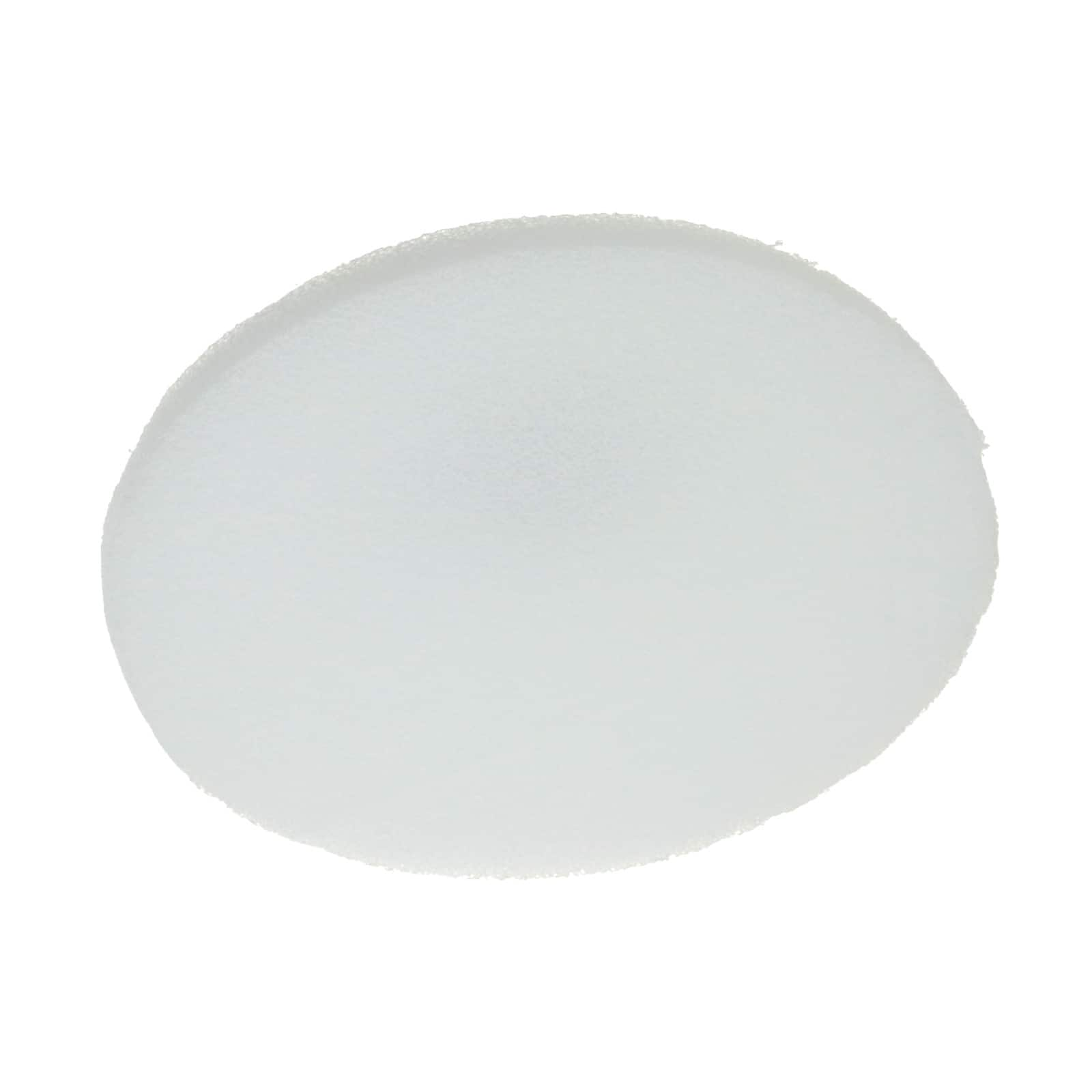 FloraCraft® Styrofoam™ Disc, 10 x 1