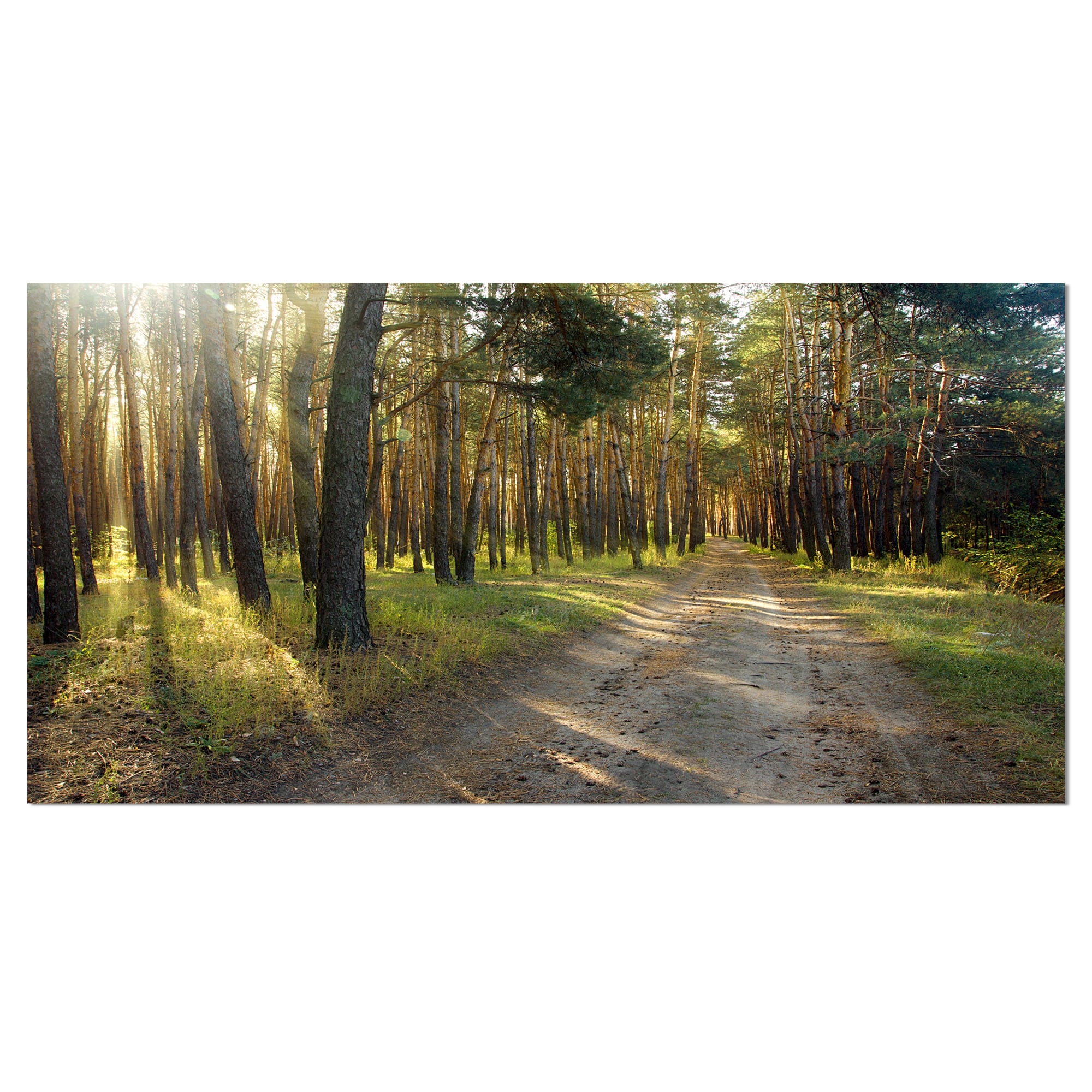 Designart - Road Through Green Pine Forest - Landscape Photography Canvas Print