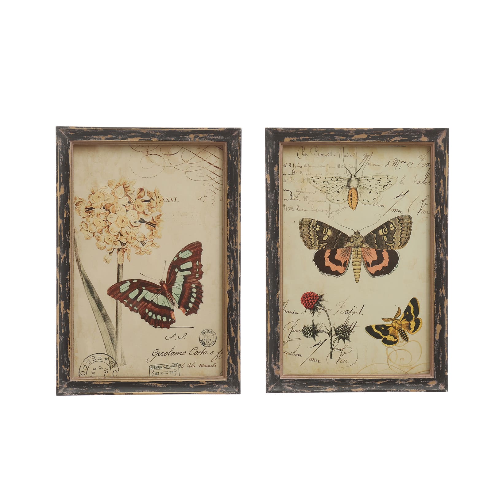 Download Assorted Butterfly Wall Sign By Ashland Michaels