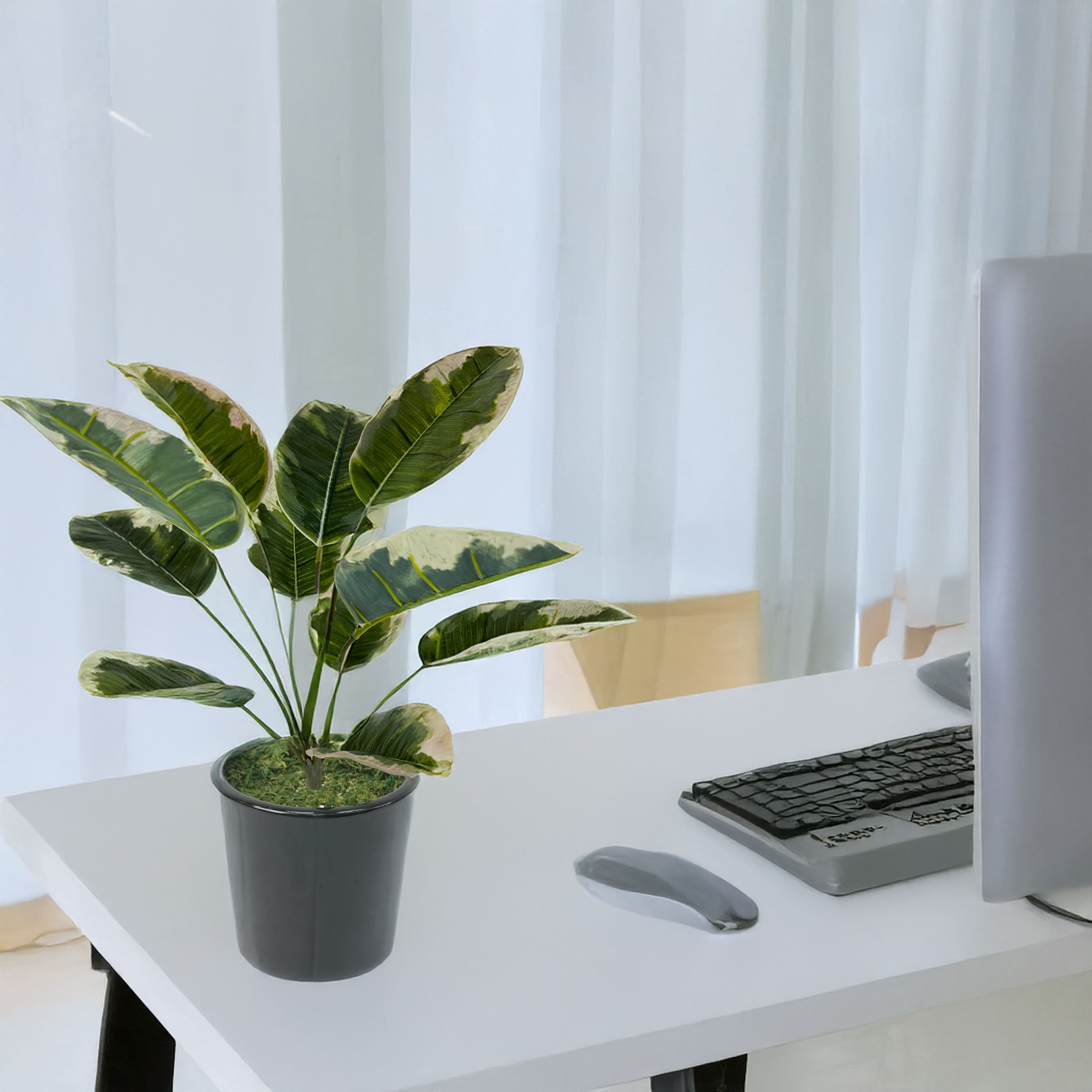 18&#x22; Green &#x26; Pink Ficus Bush by Ashland&#xAE;
