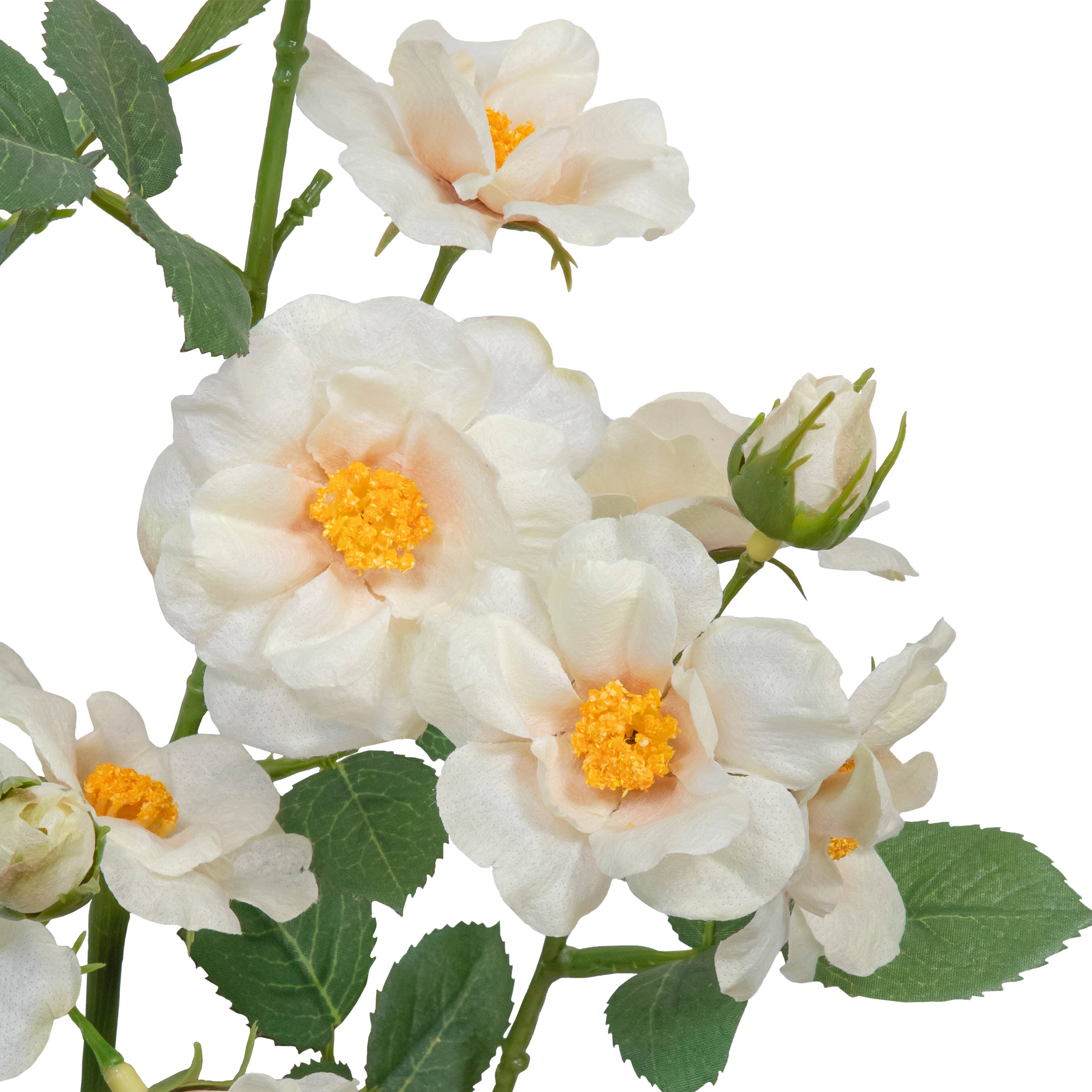 33&#x22; Cream Wild Rose Spray by Ashland&#xAE;