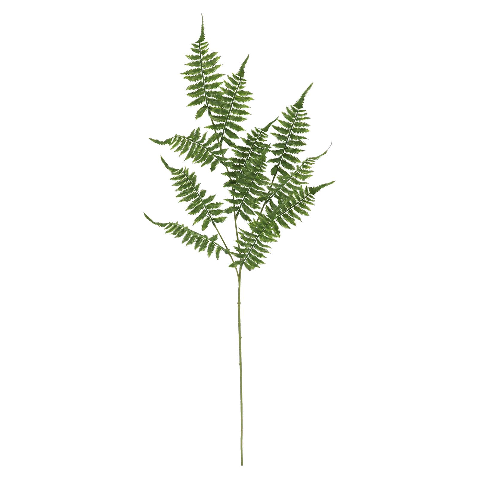 41&#x22; Fern Stem by Ashland&#xAE;