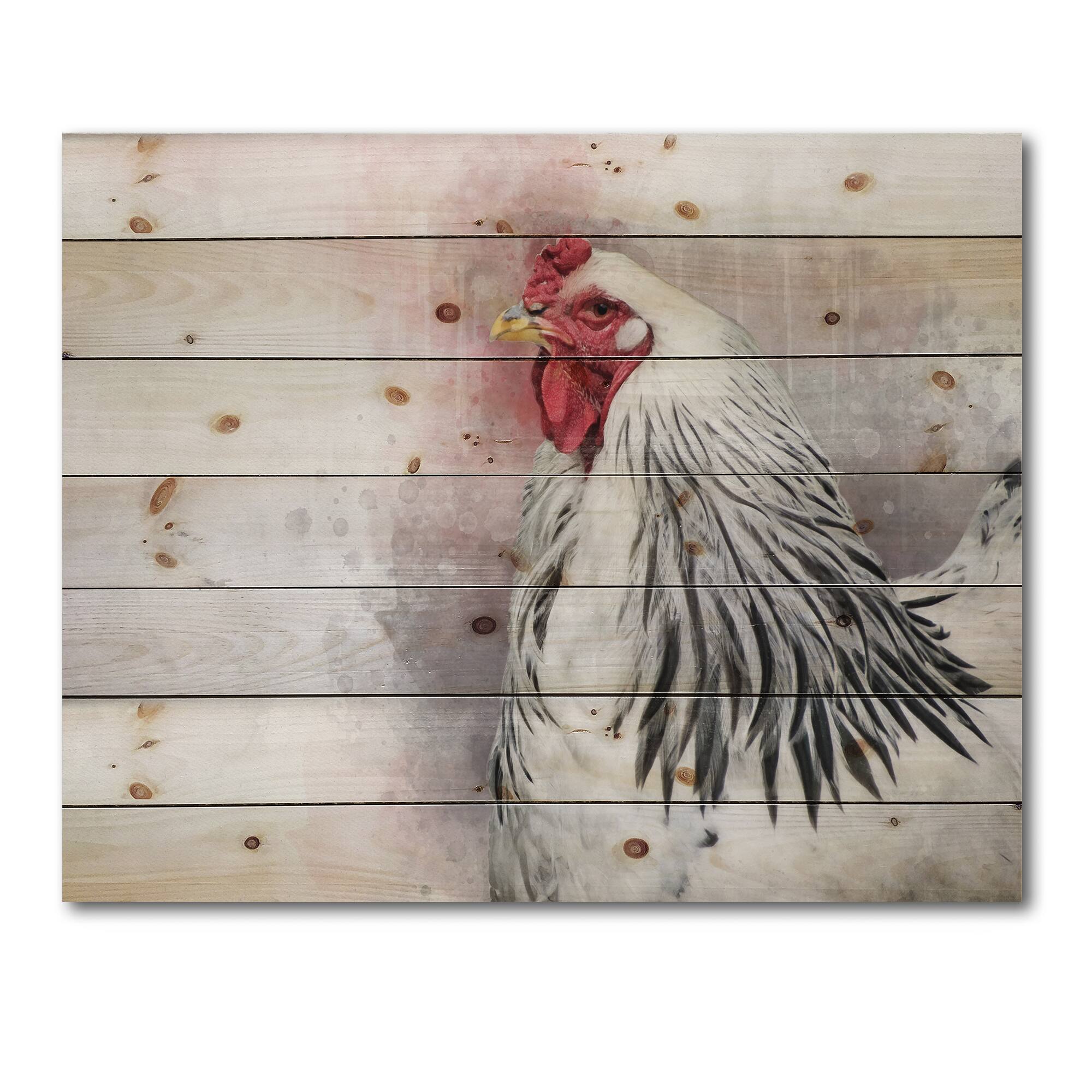 Designart - White Columbia Brahma Rooster Bird - Traditional Print on Natural Pine Wood