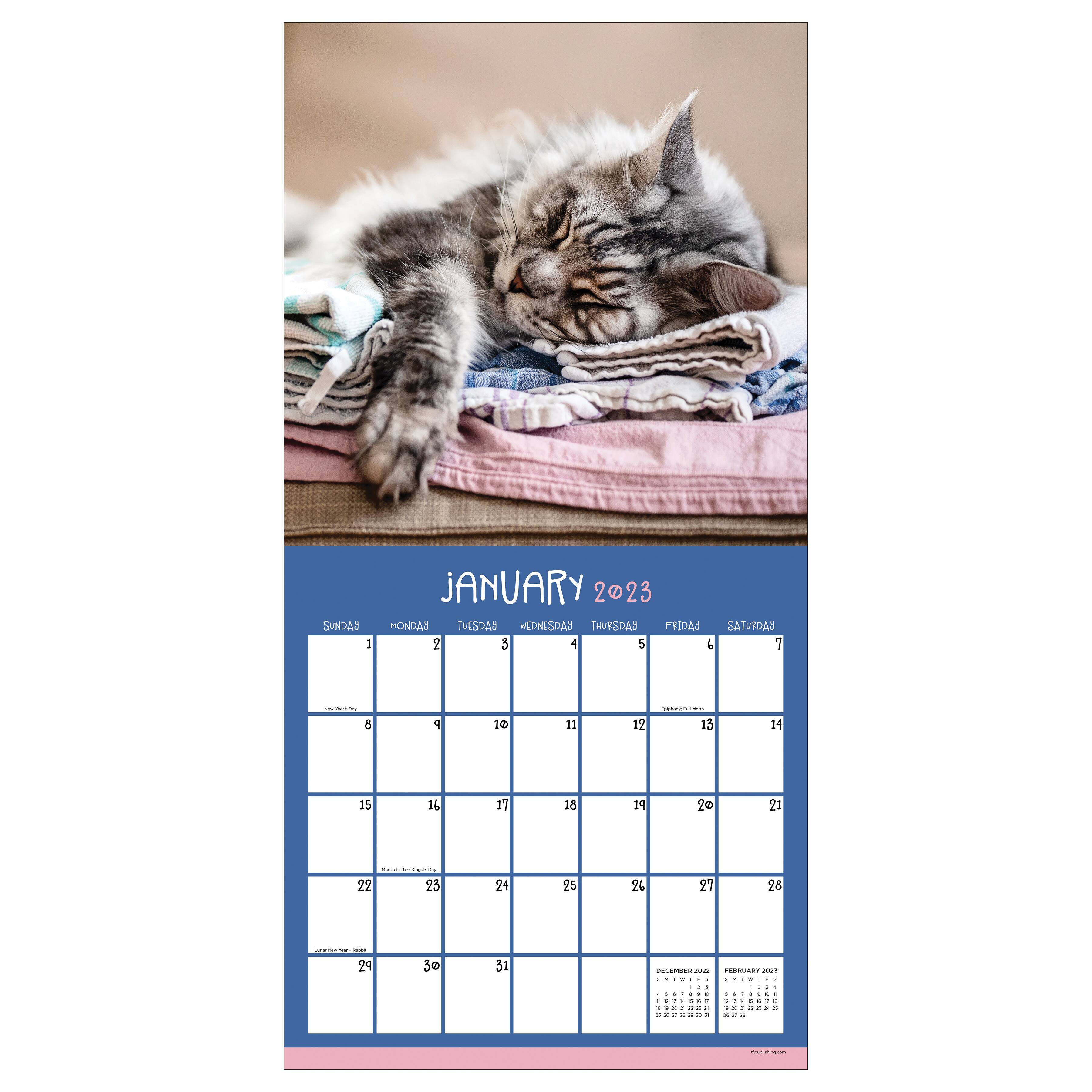 2023 Cat Dreams Wall Calendar | Michaels