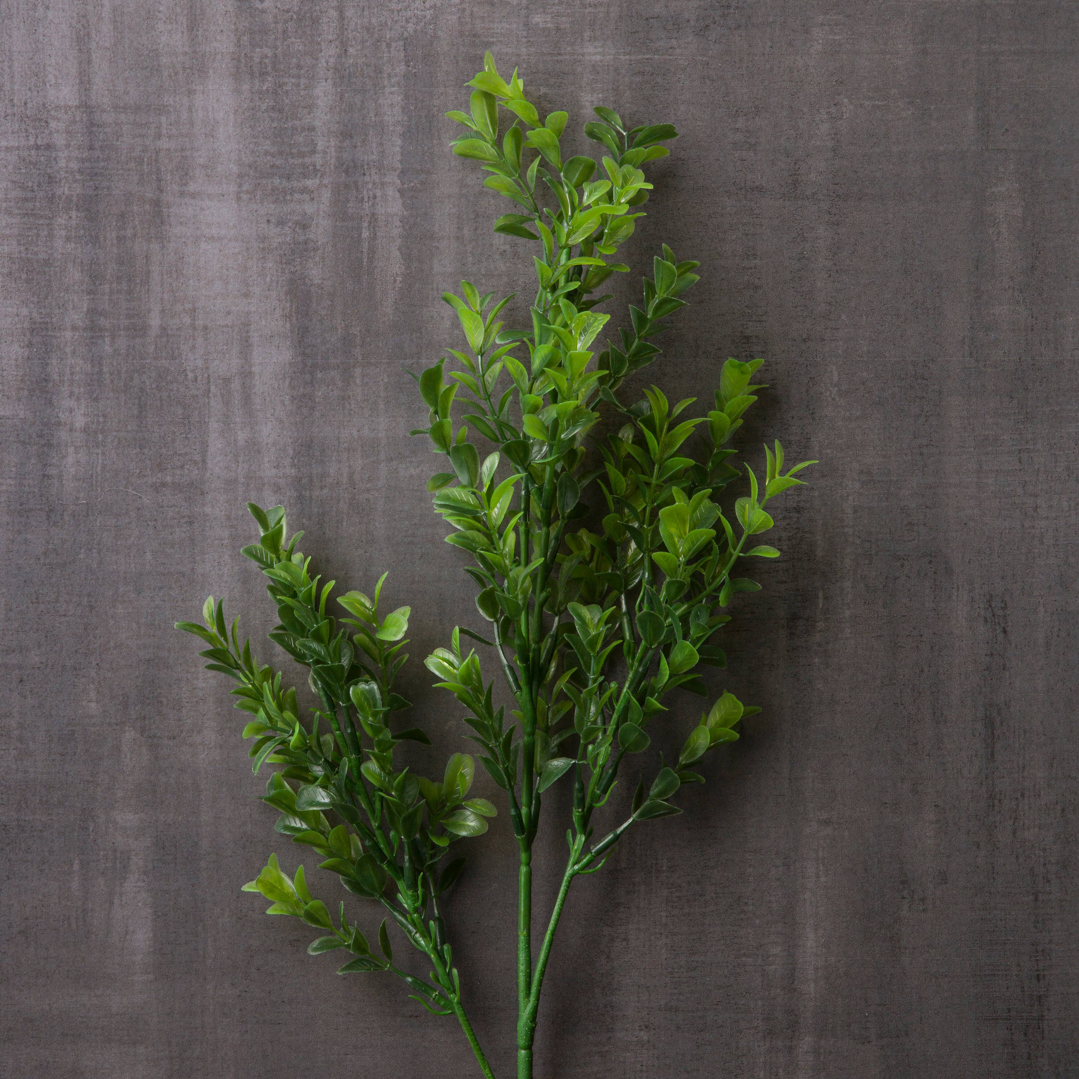 Sweet Grass Stem by Ashland®