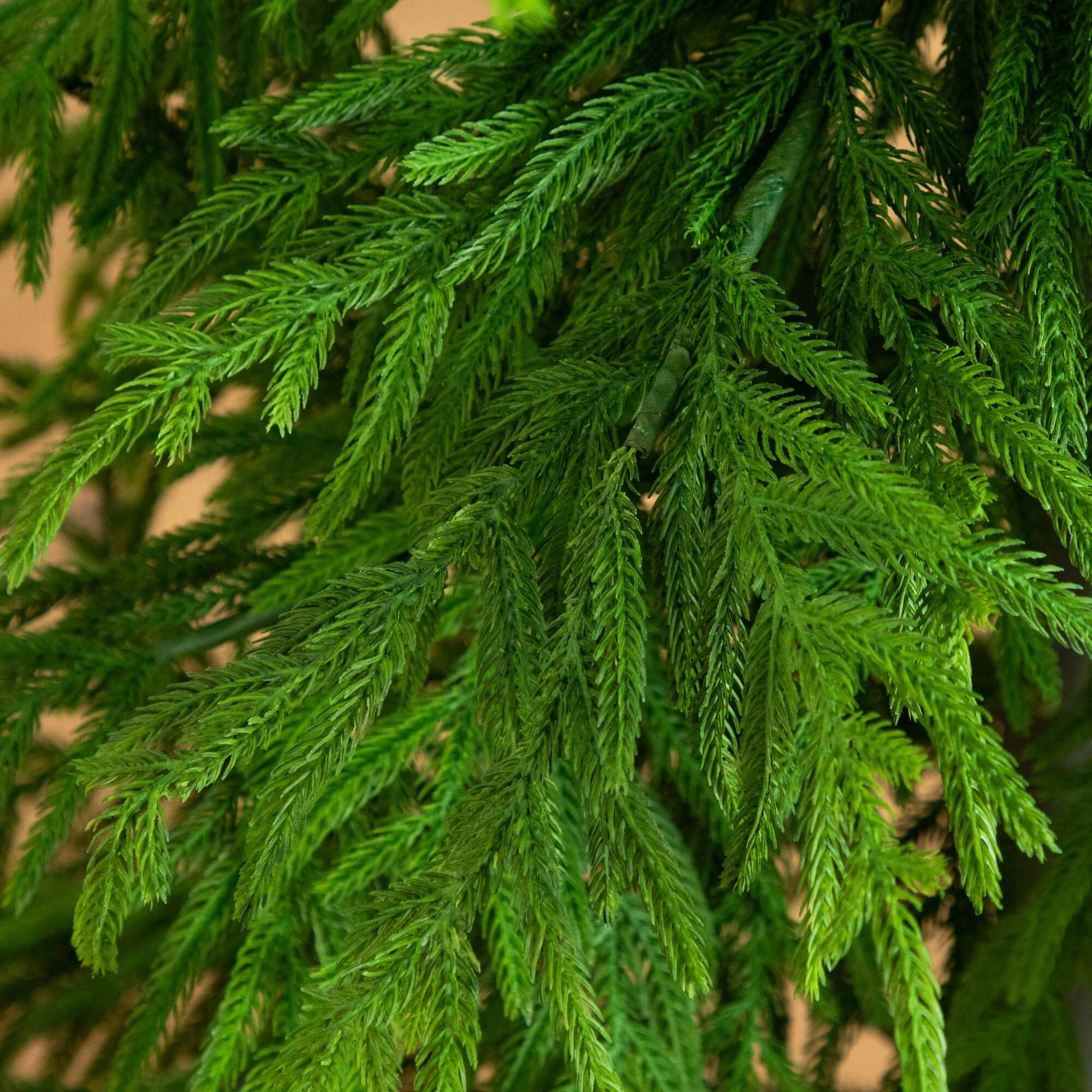 7ft. Norfolk Island Pine Real Touch Artificial Christmas Tree