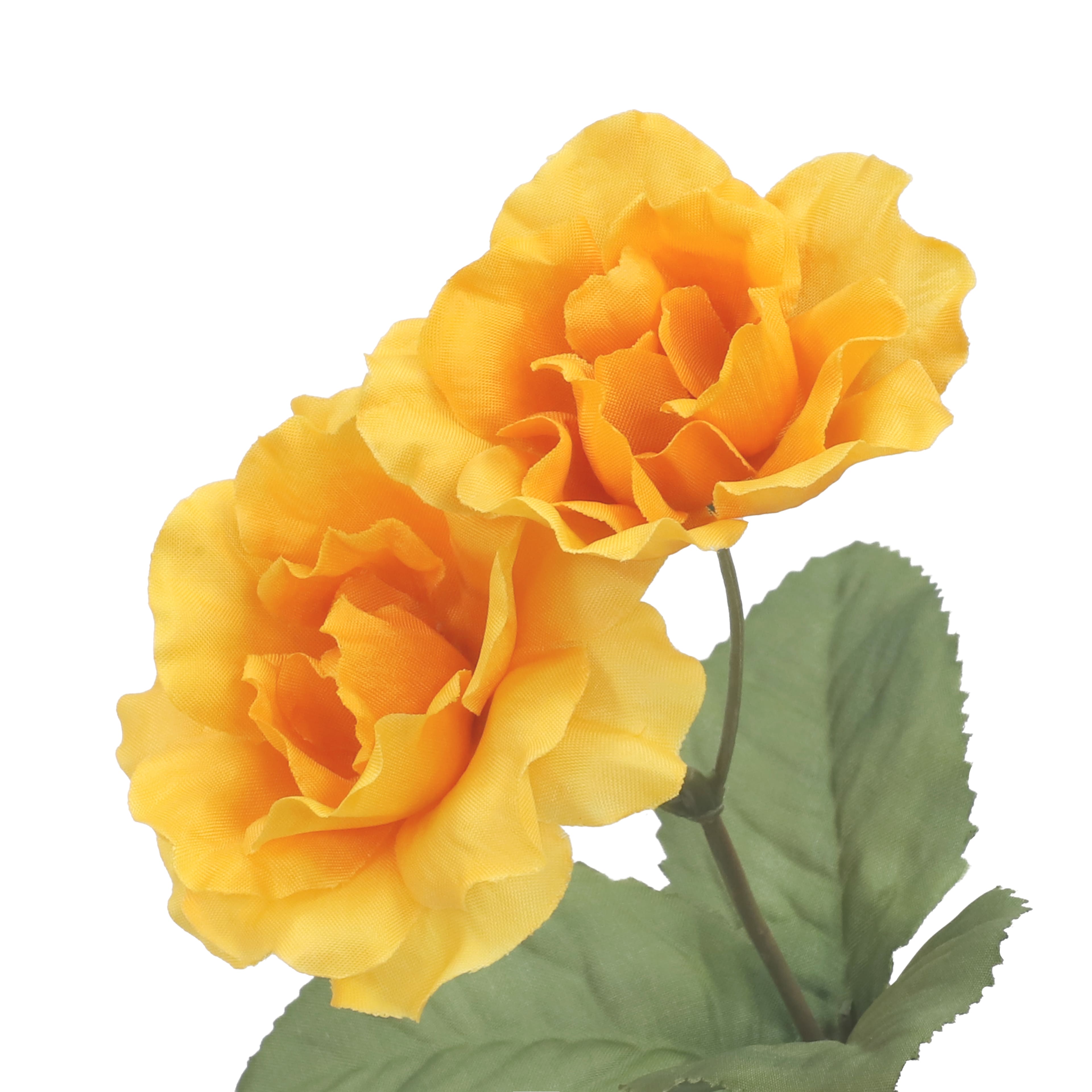 15&#x22; Wild Rose Bush by Ashland&#xAE;