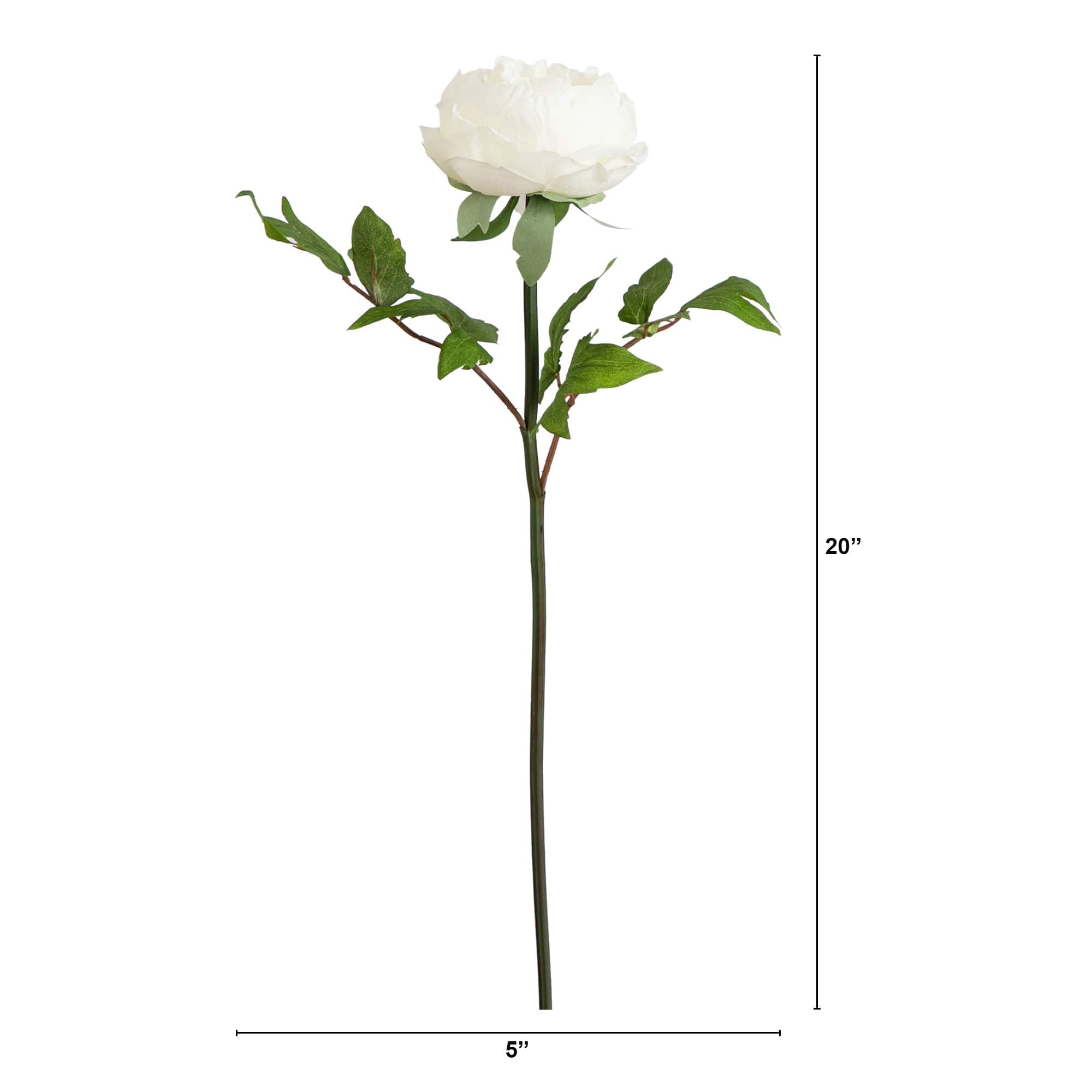 20&#x22; White Peony Flower Stems, 3ct.