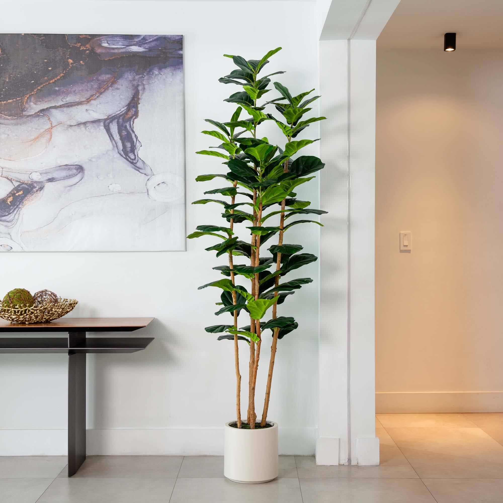 7ft. Fiddle Leaf Tree in Decorative White Planter