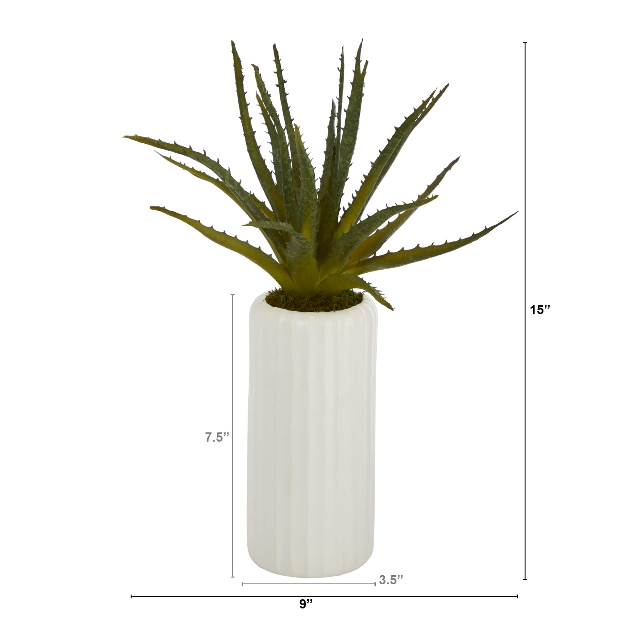 15&#x22; Aloe Plant in Decorative White Planter
