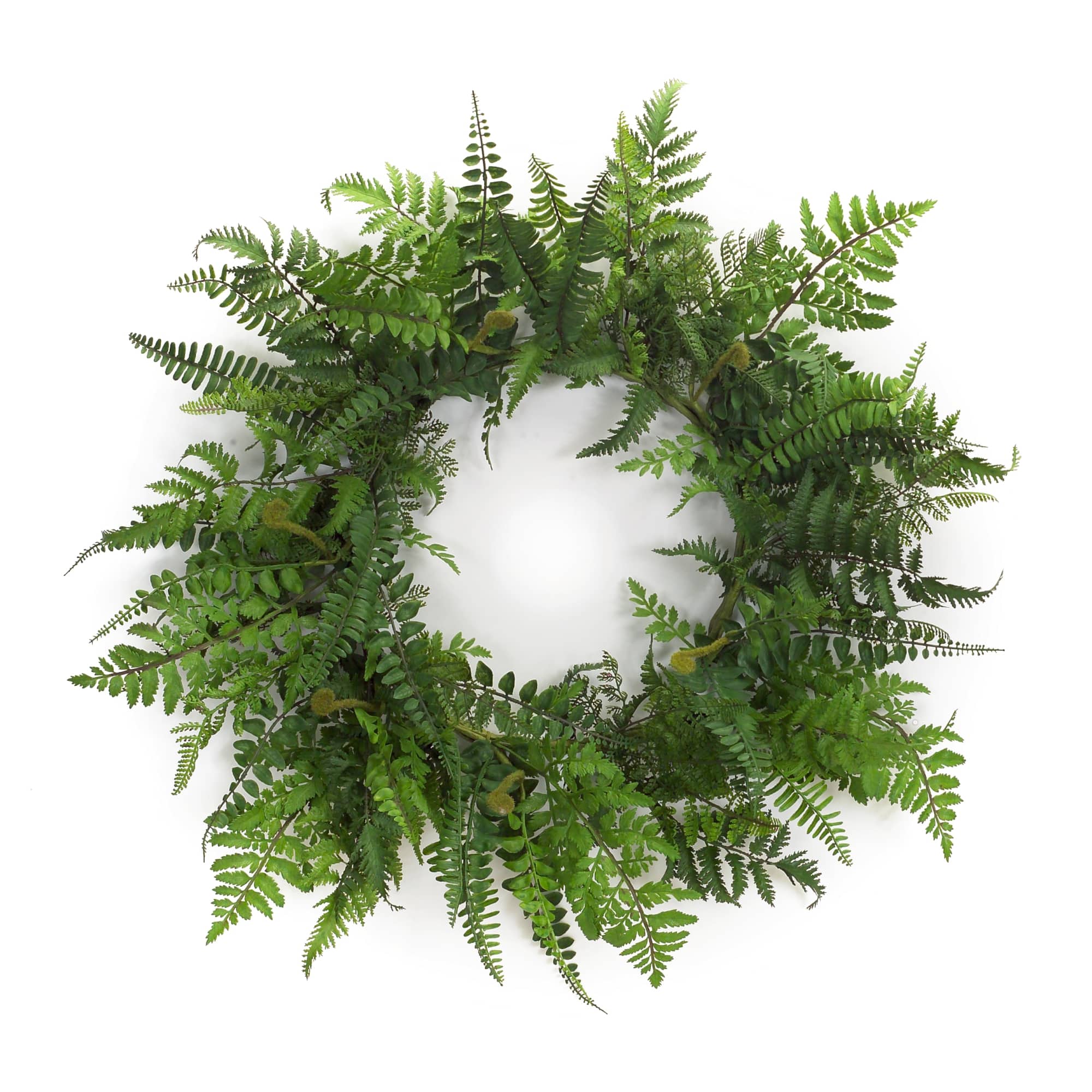 24" Fern Wreath