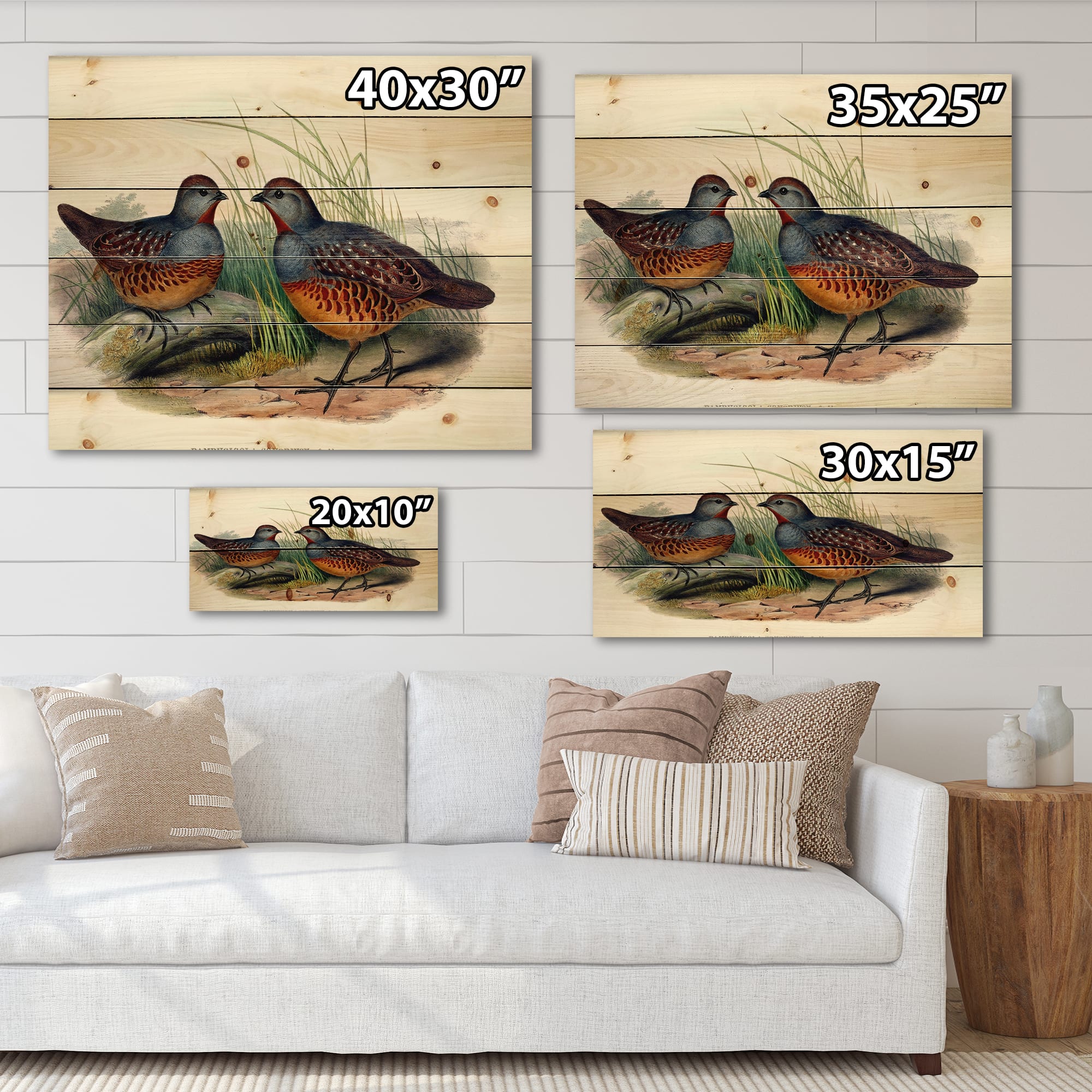 Designart - Vintage Birds In The Wild VII - Traditional Print on Natural Pine Wood
