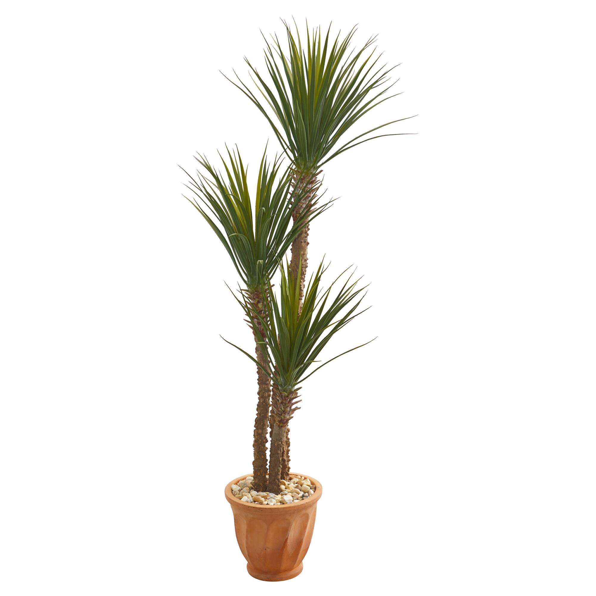 5.4ft. Yucca Tree in Terracotta Planter