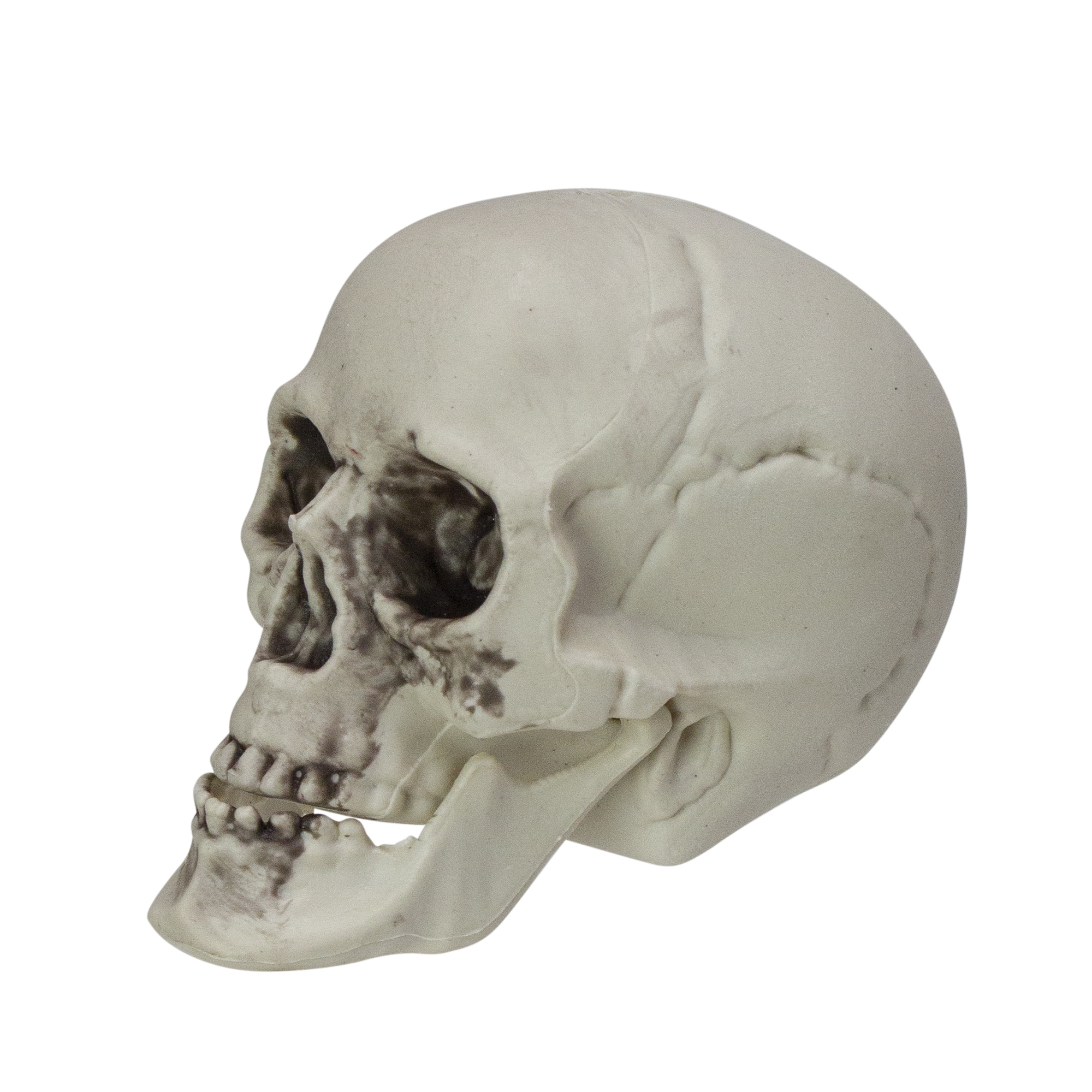 3.5&#x27;&#x27; Skull Head Halloween Decorations, 6ct.