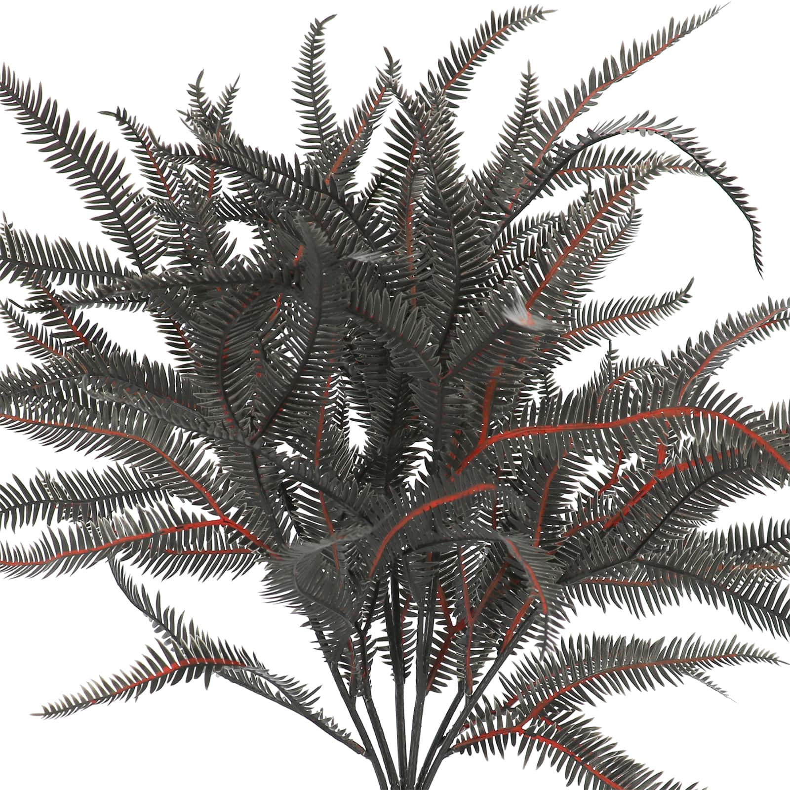 16&#x22; Black Dripping Boston Fern Bush by Ashland&#xAE;