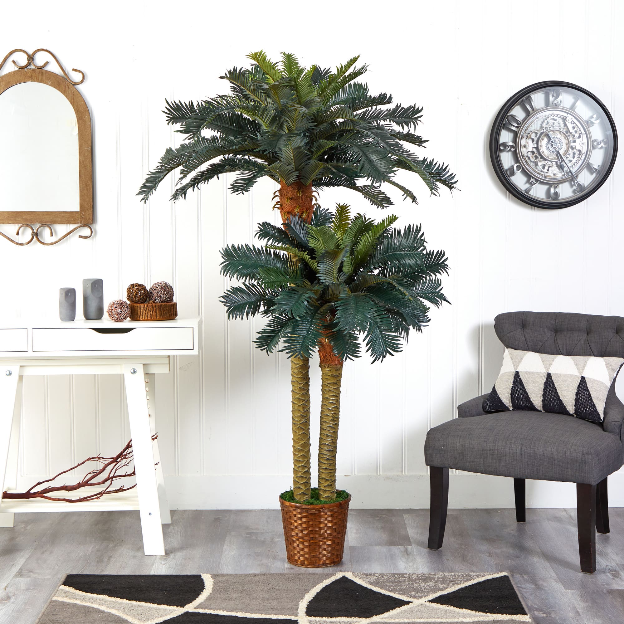 6ft. Sago Palm Double Tree in Wicker Basket Pot