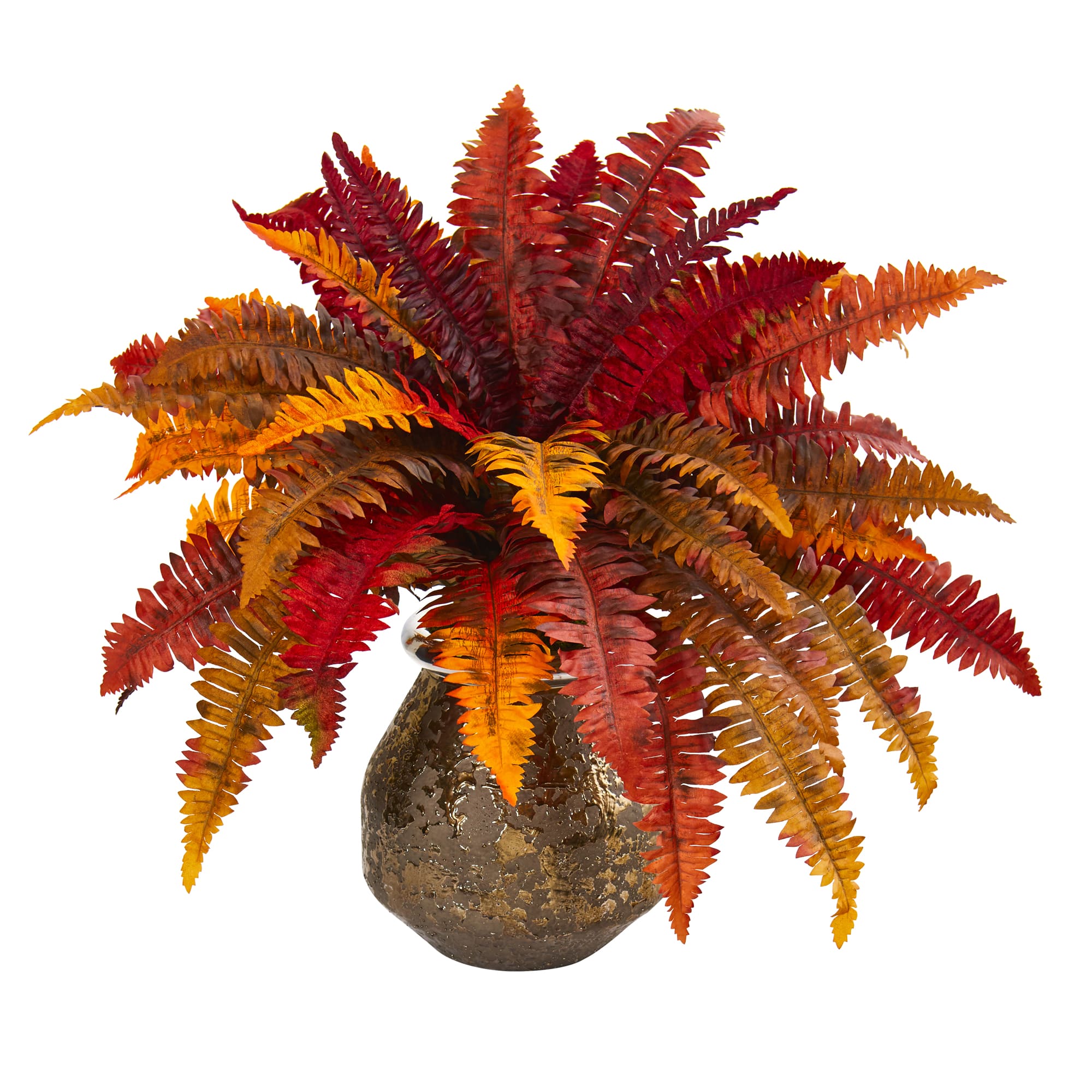20&#x22; Autumn Boston Fern Plant in Decorative Planter