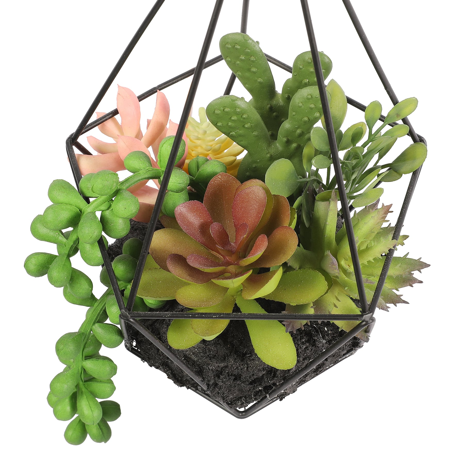 20&#x22; Succulent in Hanging Diamond by Ashland&#xAE;
