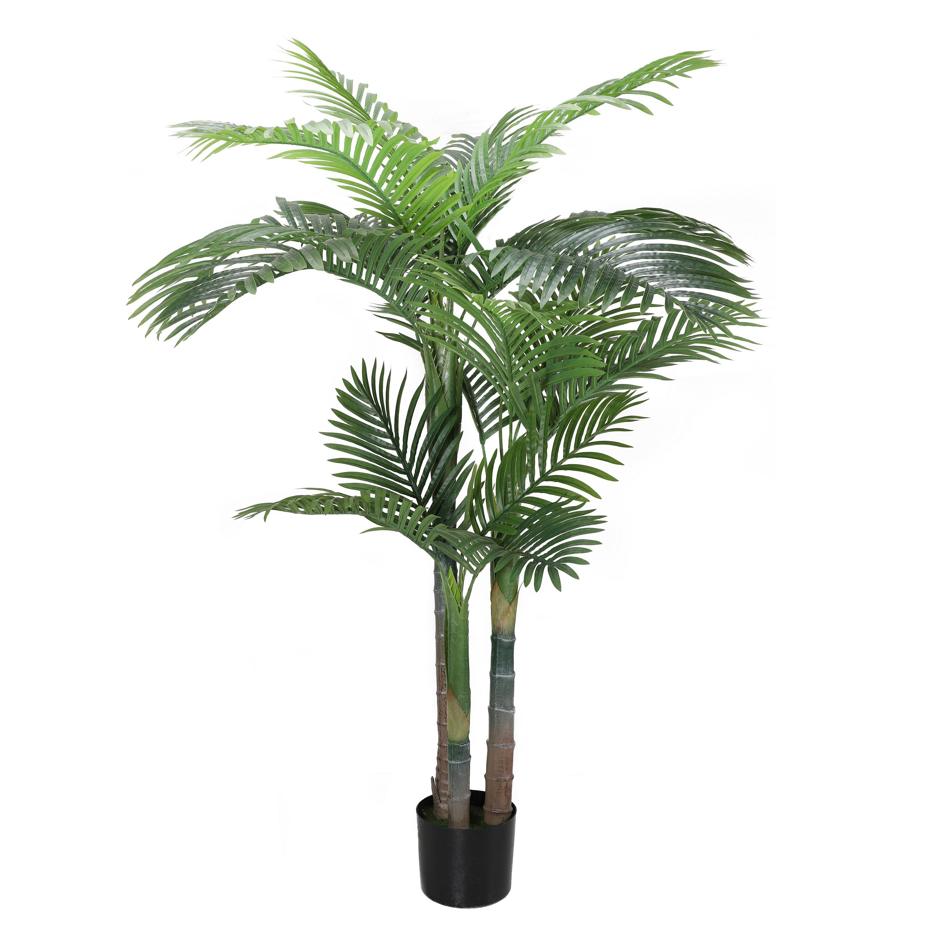6 Pack: 5ft. Potted Areca Palm Tree