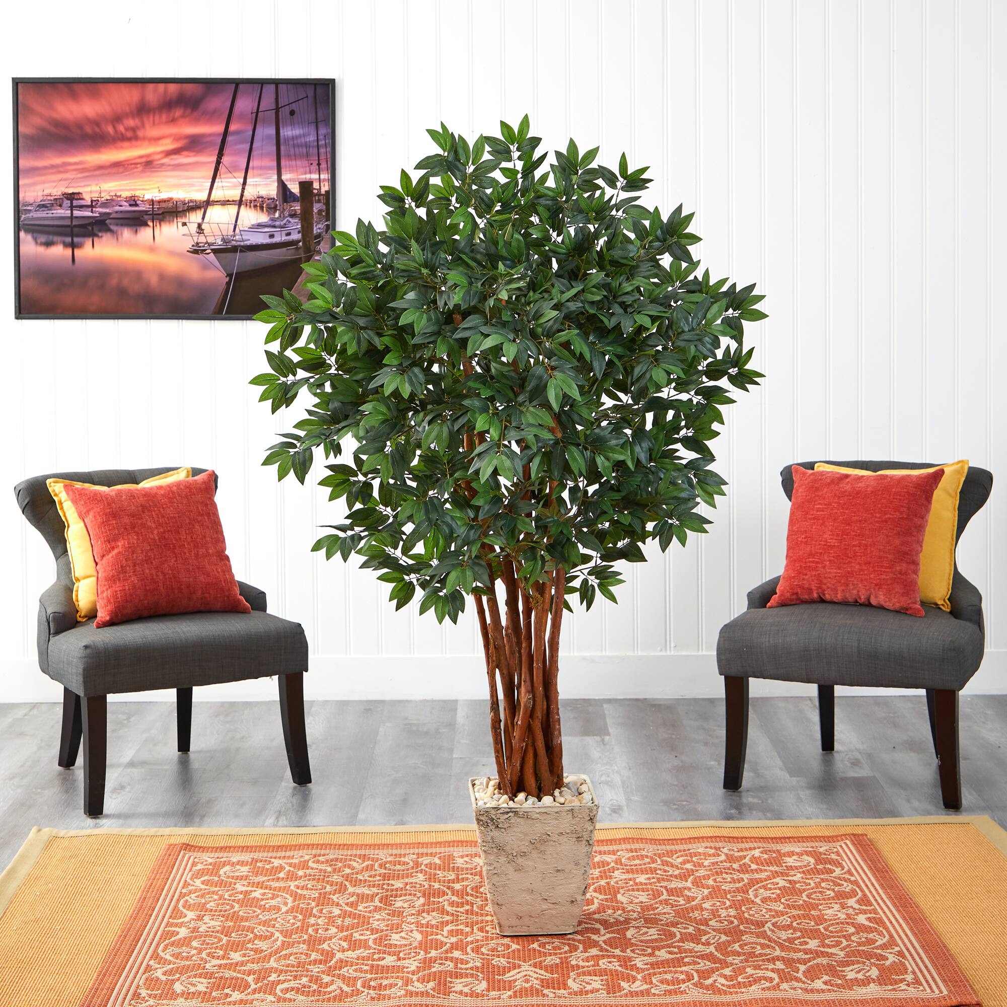 5ft. Lychee Tree in Country White Planter