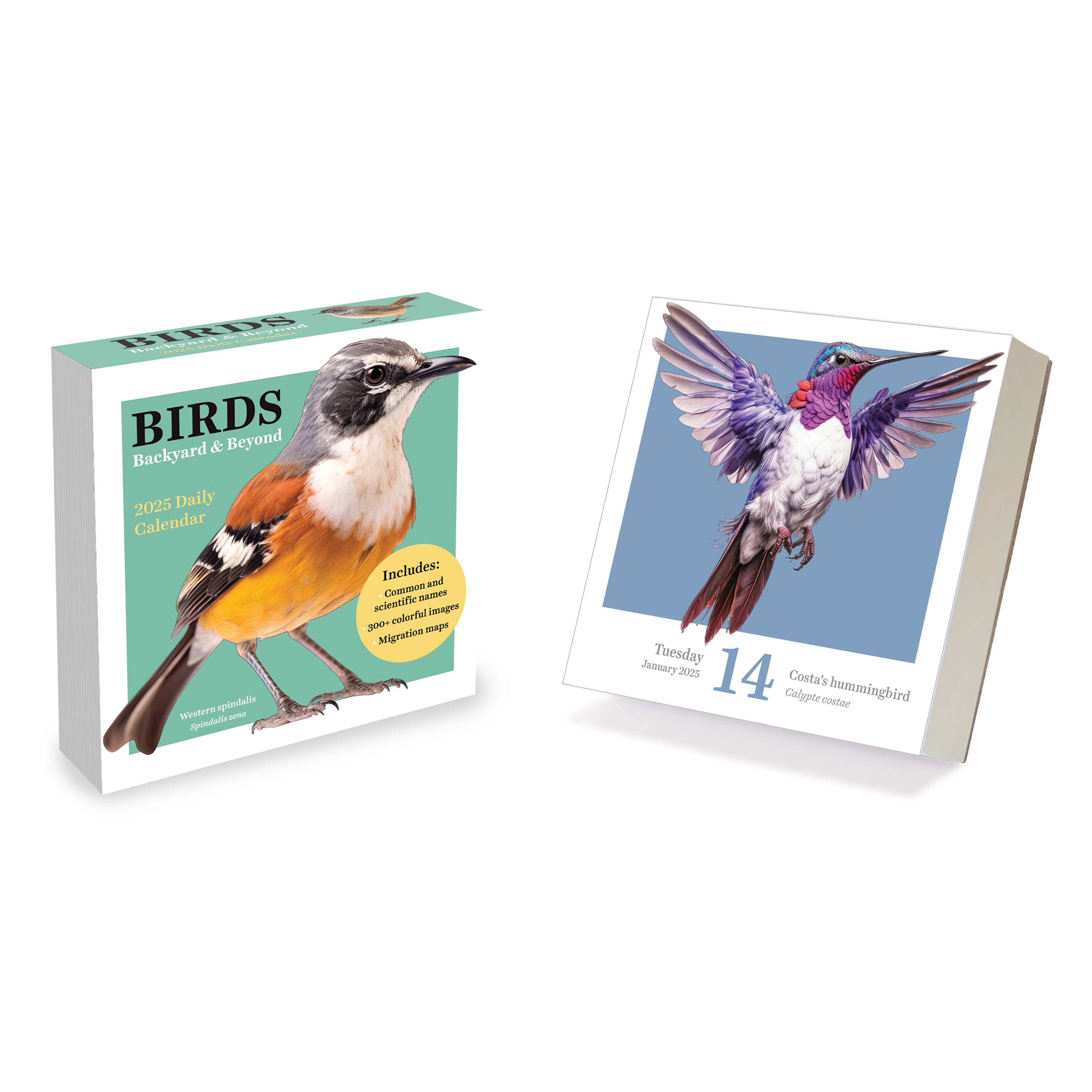 TF Publishing 2025 Birds: Backyard &#x26; Beyond Daily Desktop Calendar