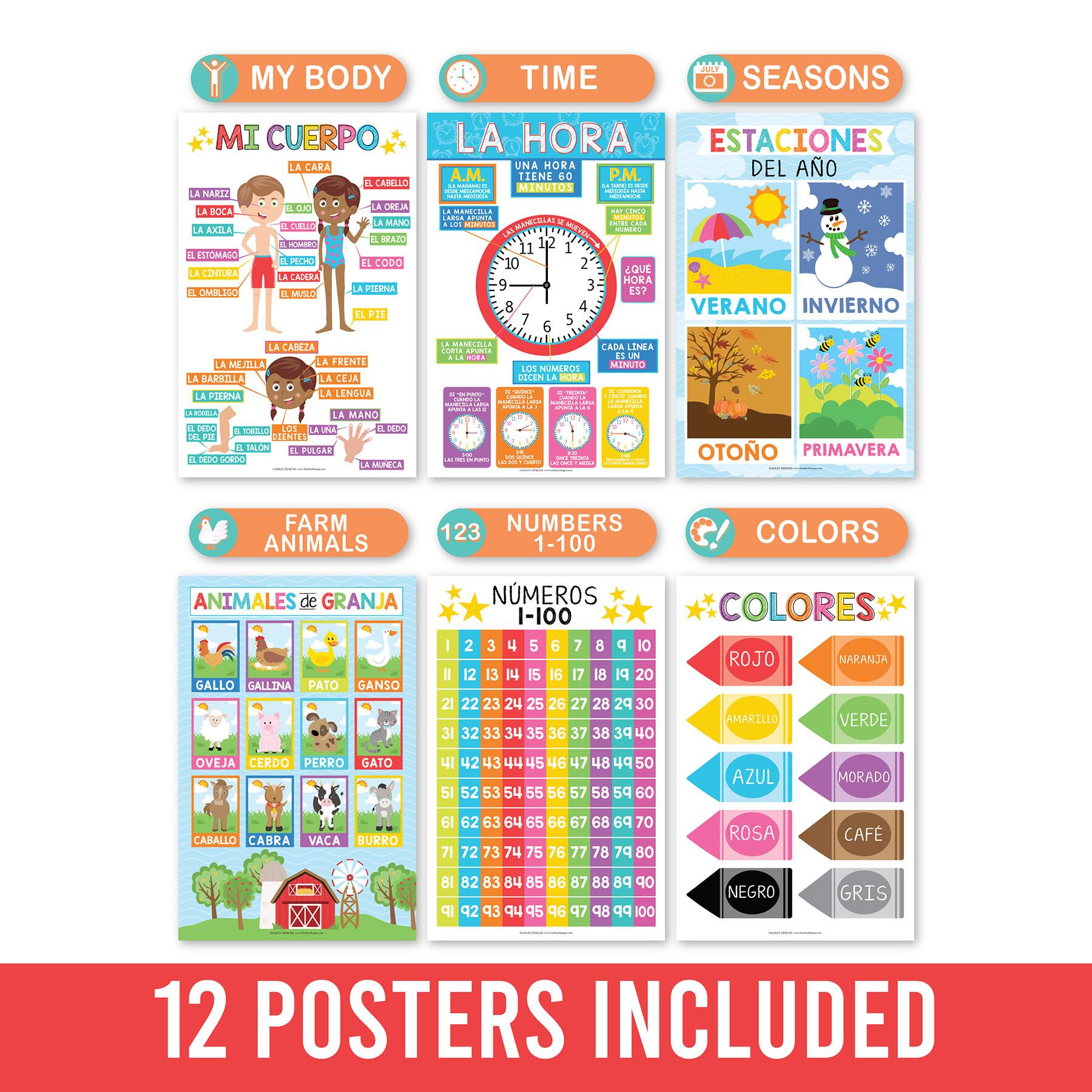 Hadley Designs 11" x 17" Colorful Spanish Preschool Educational Laminated Posters Set