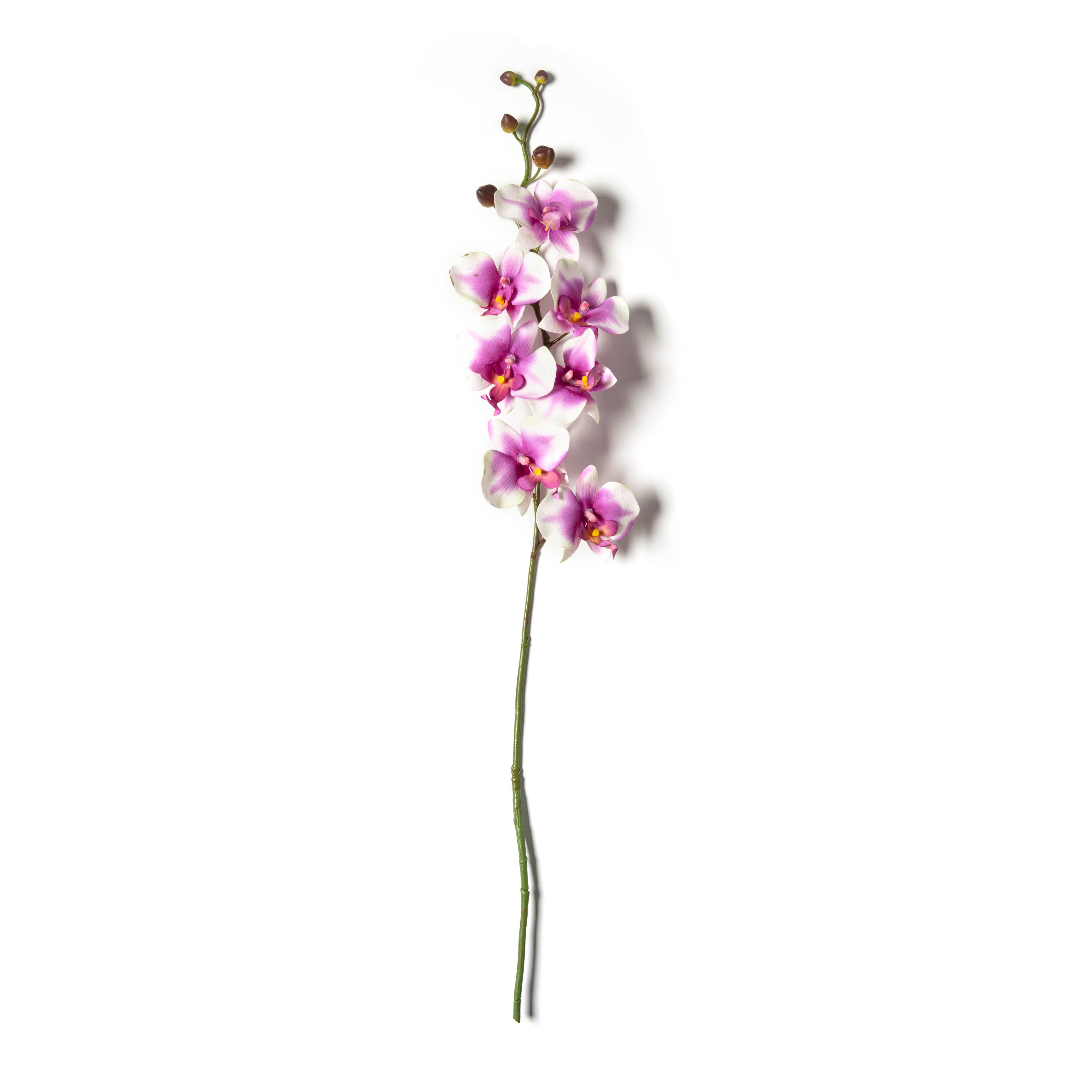 Orchid Spray by Ashland®