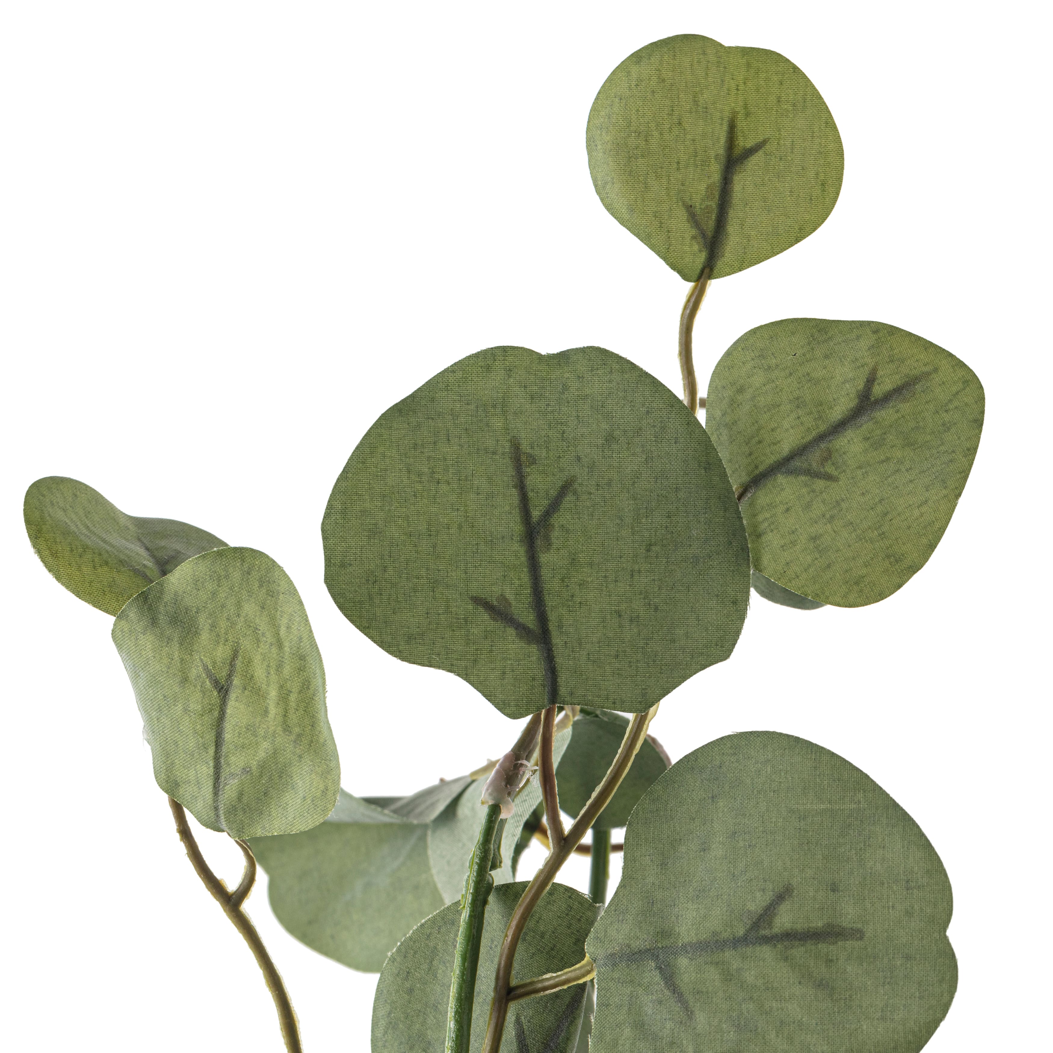 8 Pack: 6ft. Eucalyptus Garland by Ashland®