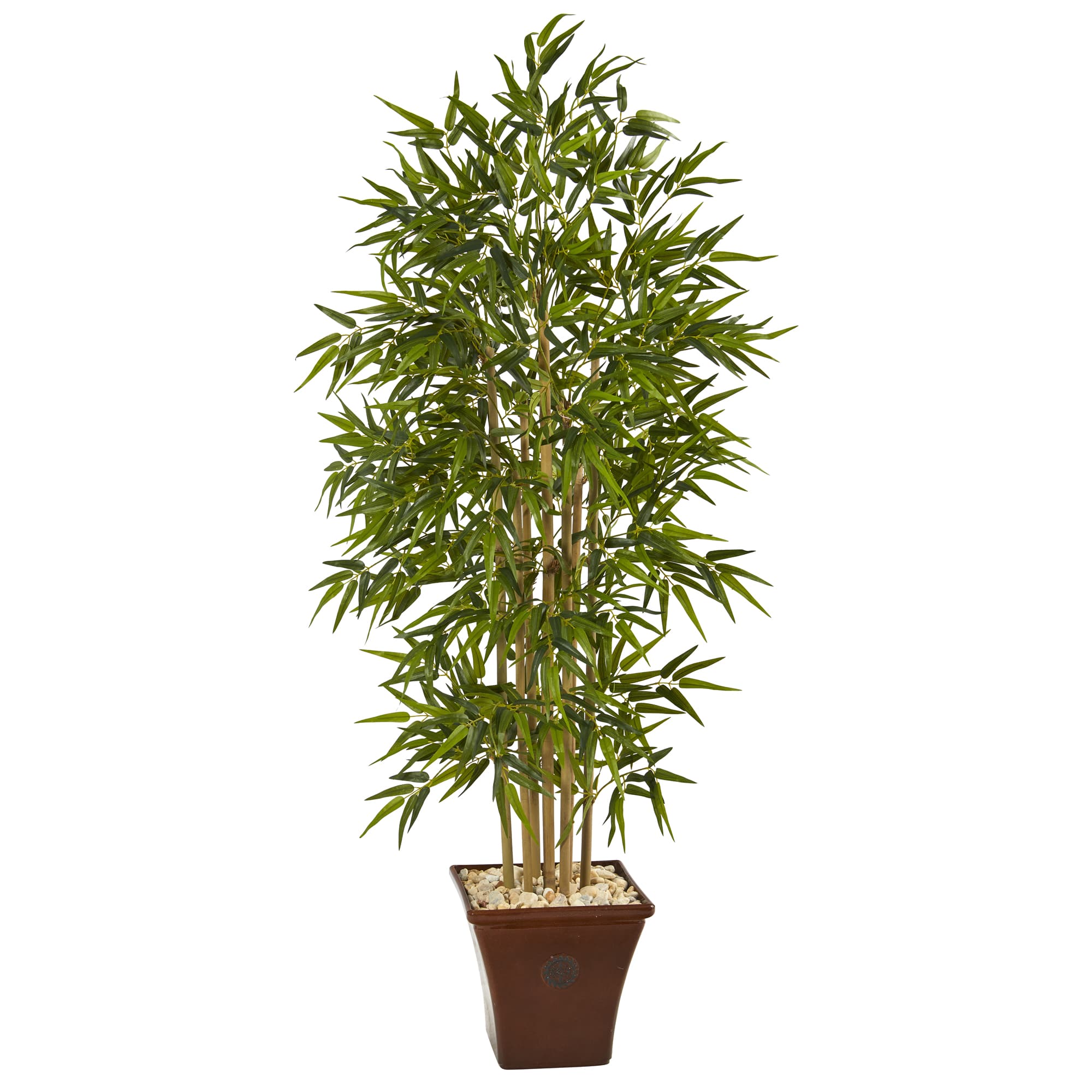 5.5ft. Bamboo Tree in Brown Planter