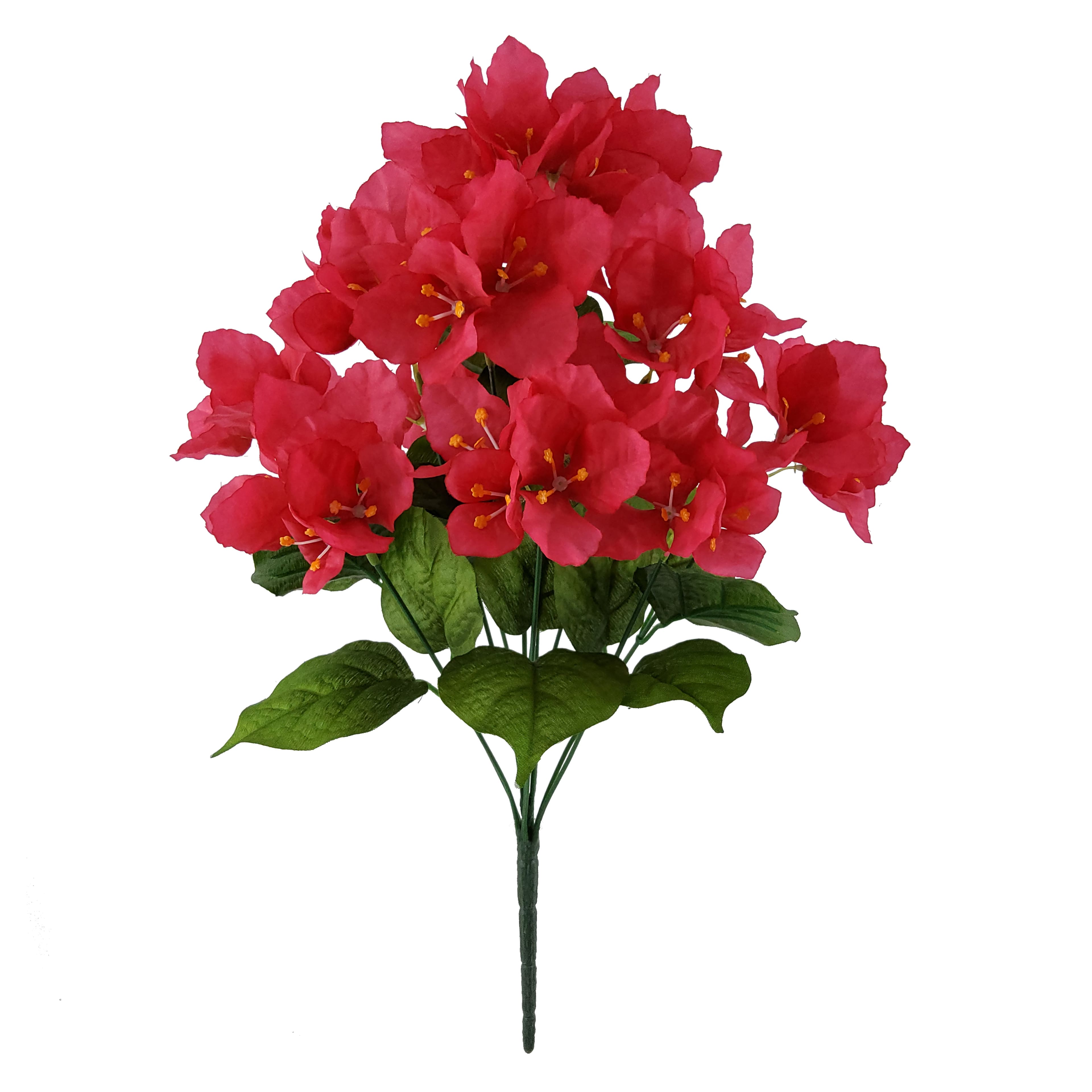 19&#x22; Pink Bougainvillea Bush by Ashland&#xAE;